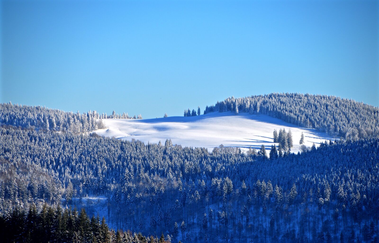 Nikon D3200 sample photo. Black forest, ski run photography