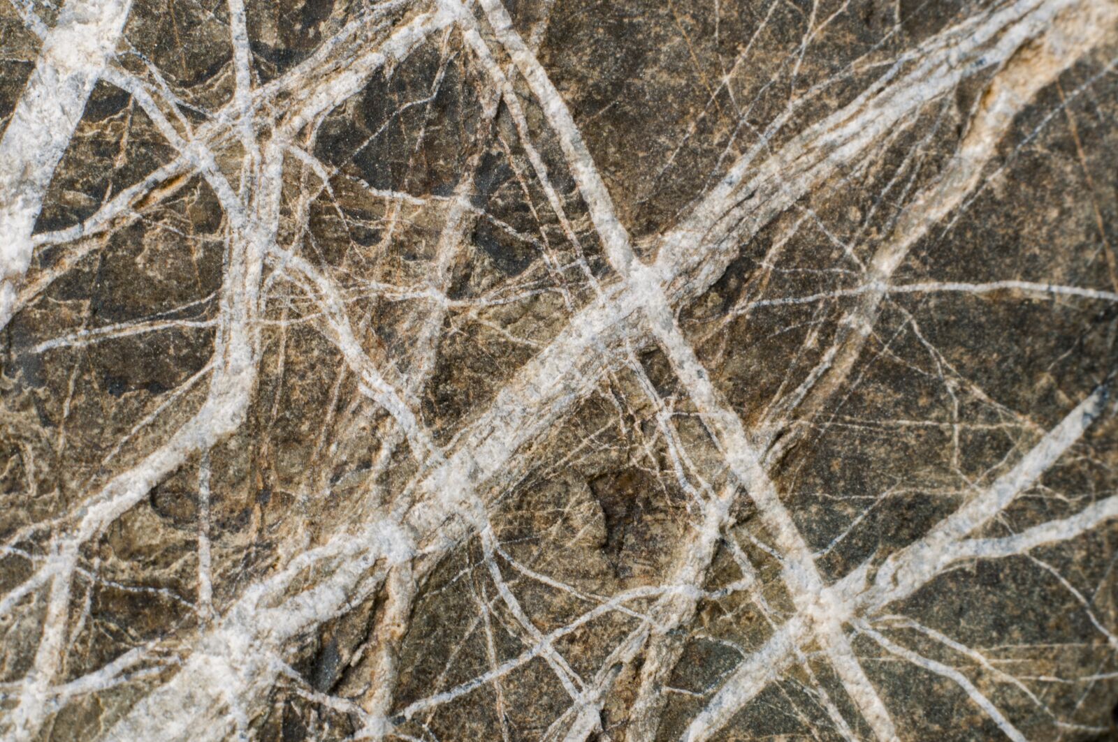 Nikon D300 sample photo. Stone, background, rocks photography