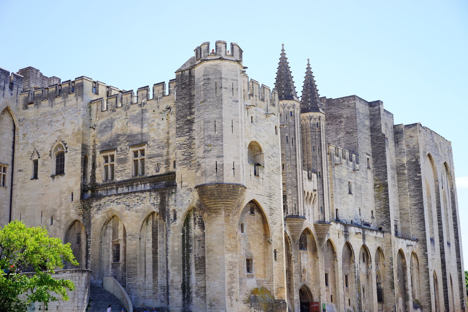 Sony a7 + Sony Sonnar T* FE 55mm F1.8 ZA sample photo. Palais des papes, corner photography