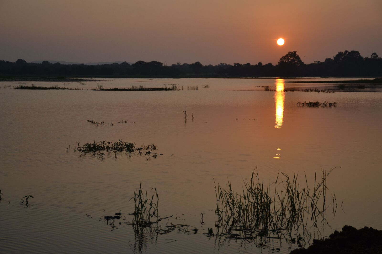 Nikon D3100 sample photo. Sri lanka, sunset, lake photography