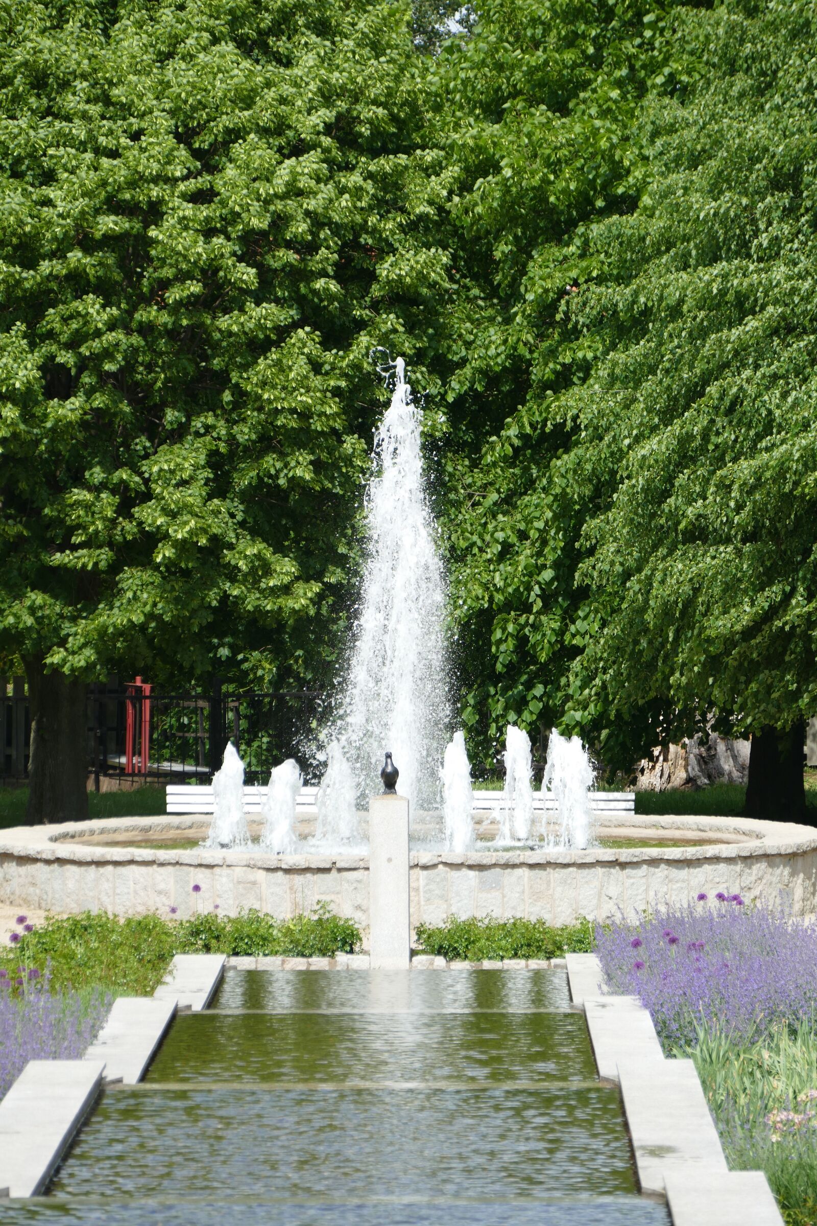 Panasonic Lumix DMC-FZ1000 sample photo. Park, water feature, plant photography
