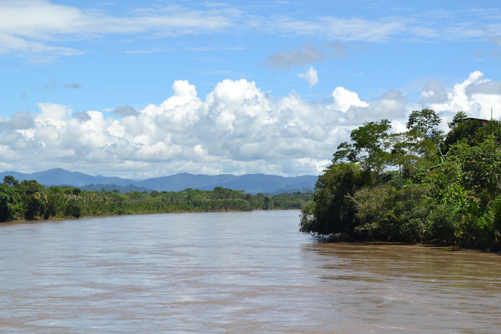 Nikon D3100 sample photo. Jungle, peru, river photography
