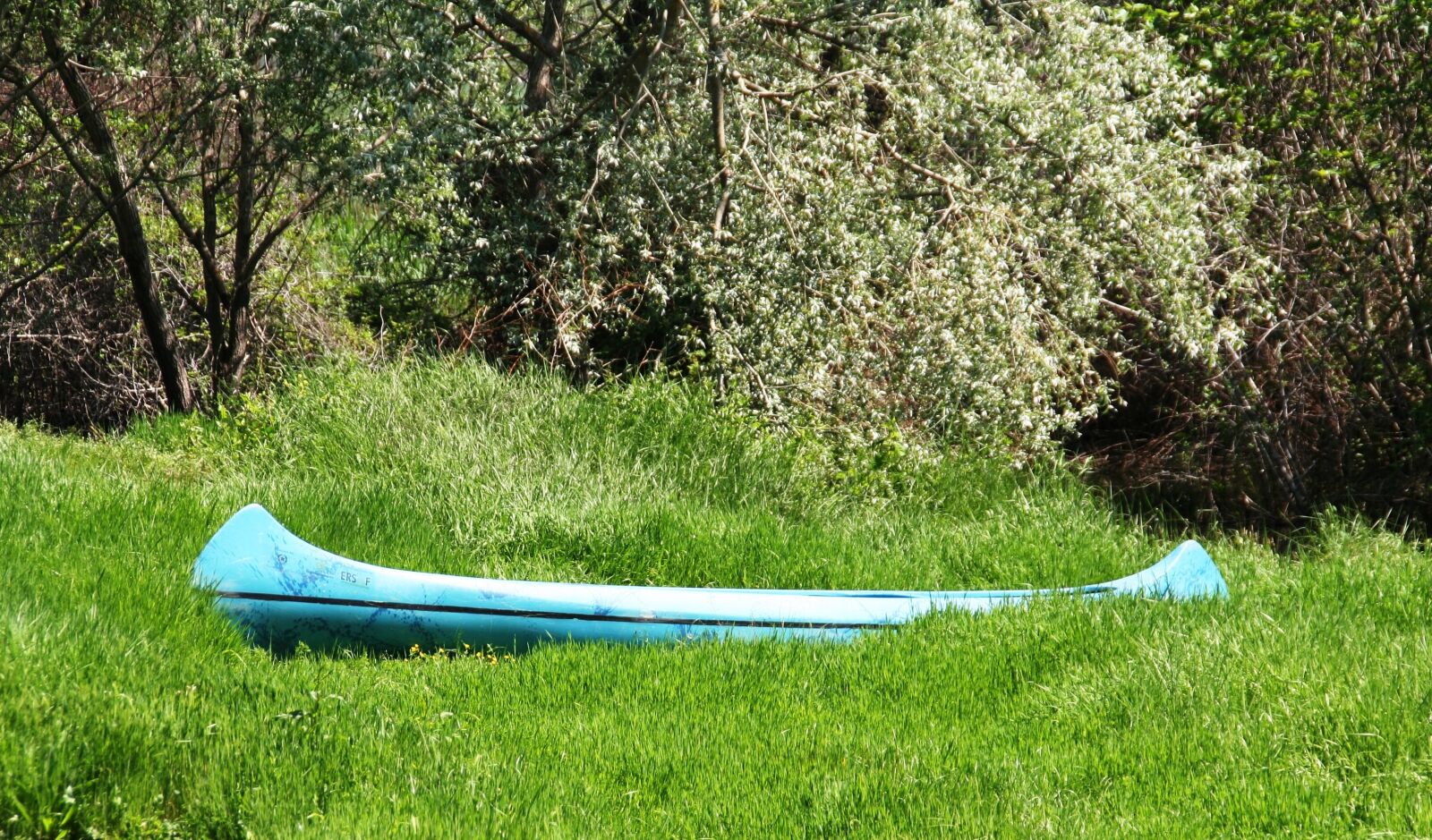 Canon EOS 350D (EOS Digital Rebel XT / EOS Kiss Digital N) sample photo. Blue boat, stranded, nature photography