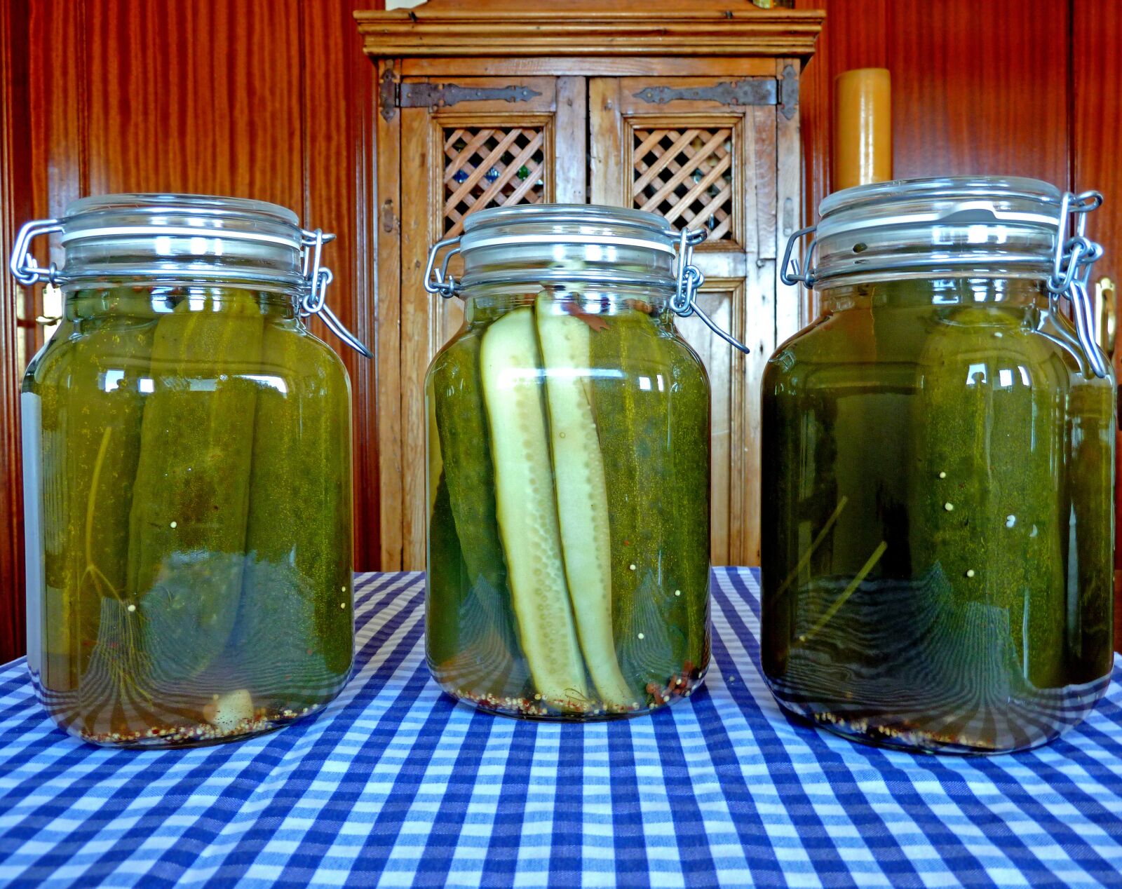 Panasonic Lumix DMC-ZS7 (Lumix DMC-TZ10) sample photo. Spain, homemade, pickles photography