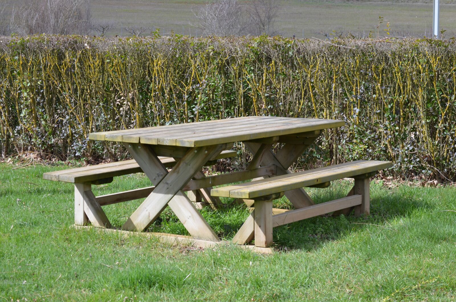 Nikon D5100 sample photo. Field, table, park photography