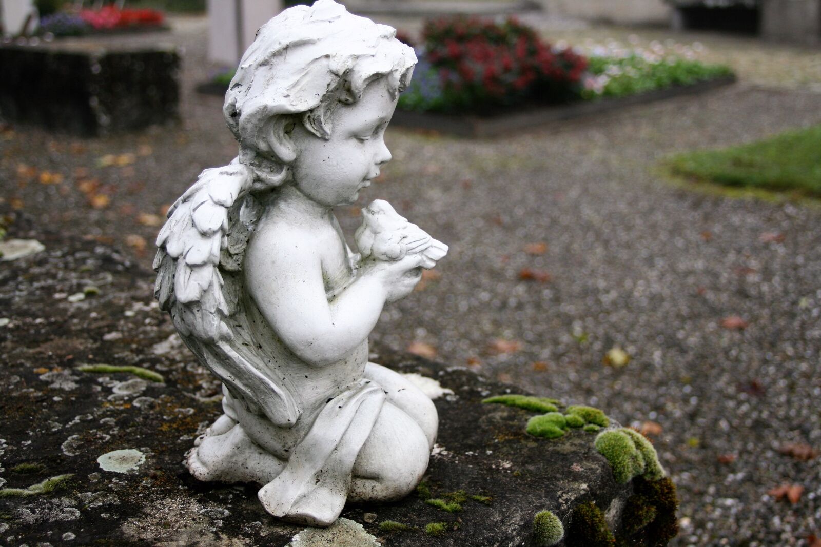 Canon EOS 400D (EOS Digital Rebel XTi / EOS Kiss Digital X) sample photo. Angel, sculpture, moss photography