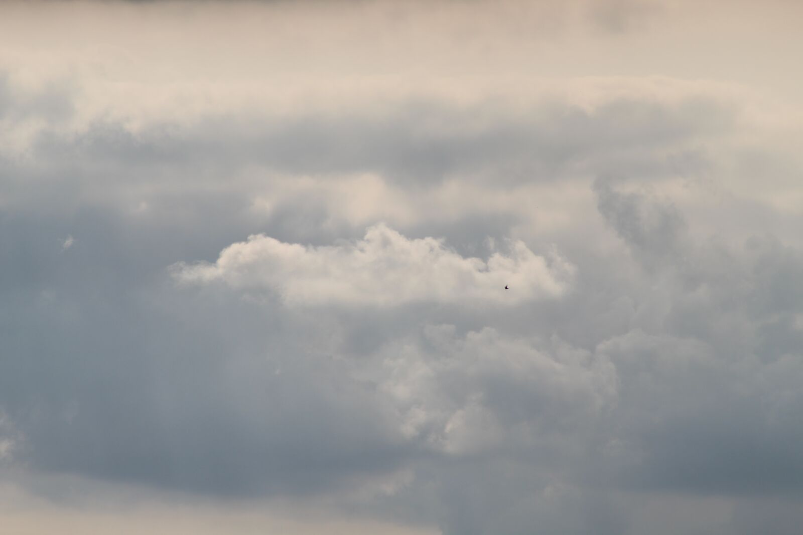 Canon EOS 4000D (EOS Rebel T100 / EOS 3000D) sample photo. Sky, clouds, atmosphere photography