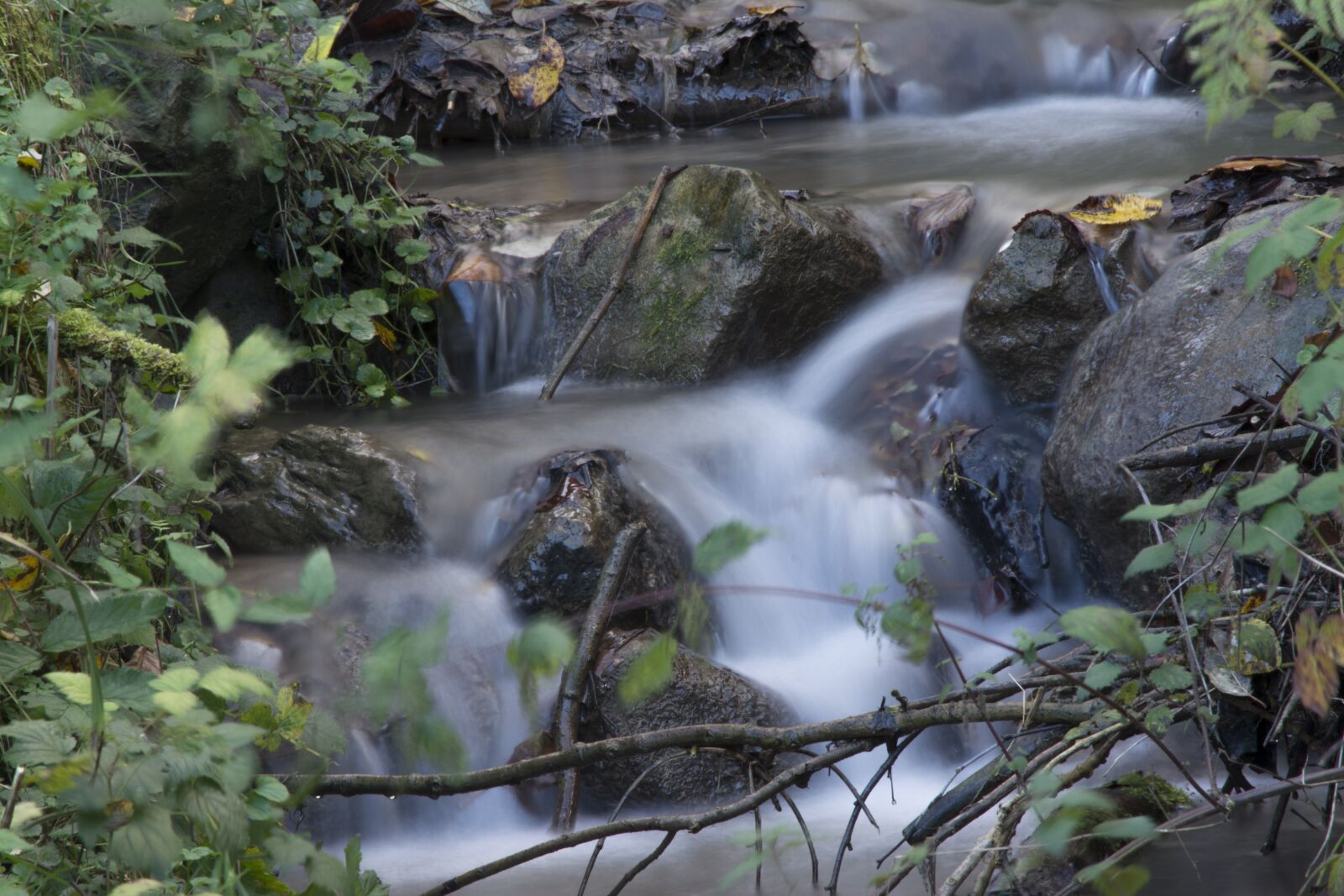 Nikon D5200 sample photo. Water, nature, bach photography