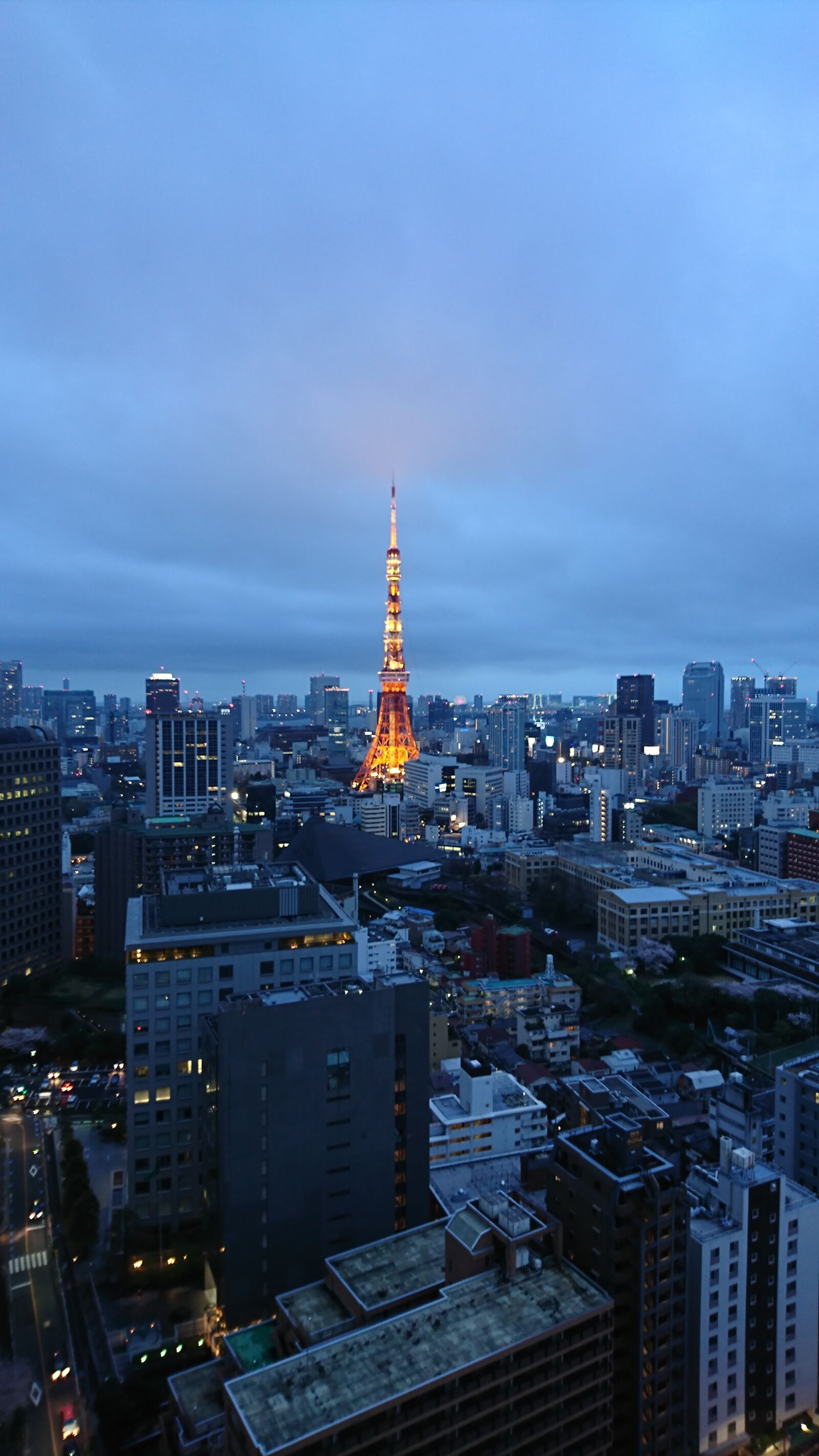 Sony Xperia XZ sample photo. Tokyo tower, night view photography