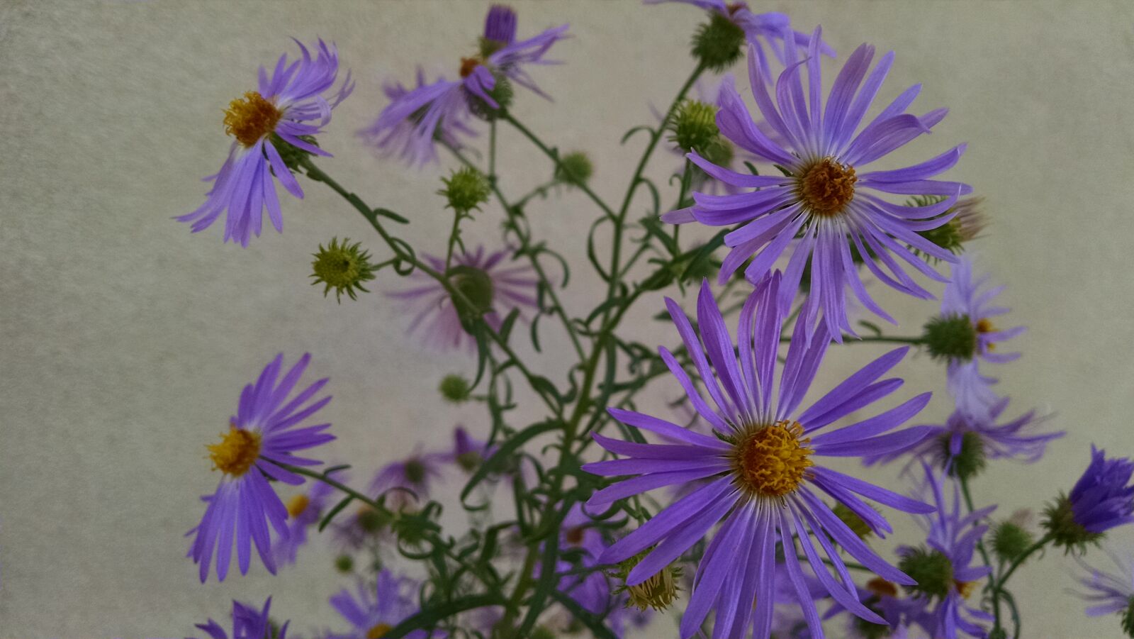 Motorola XT1080 sample photo