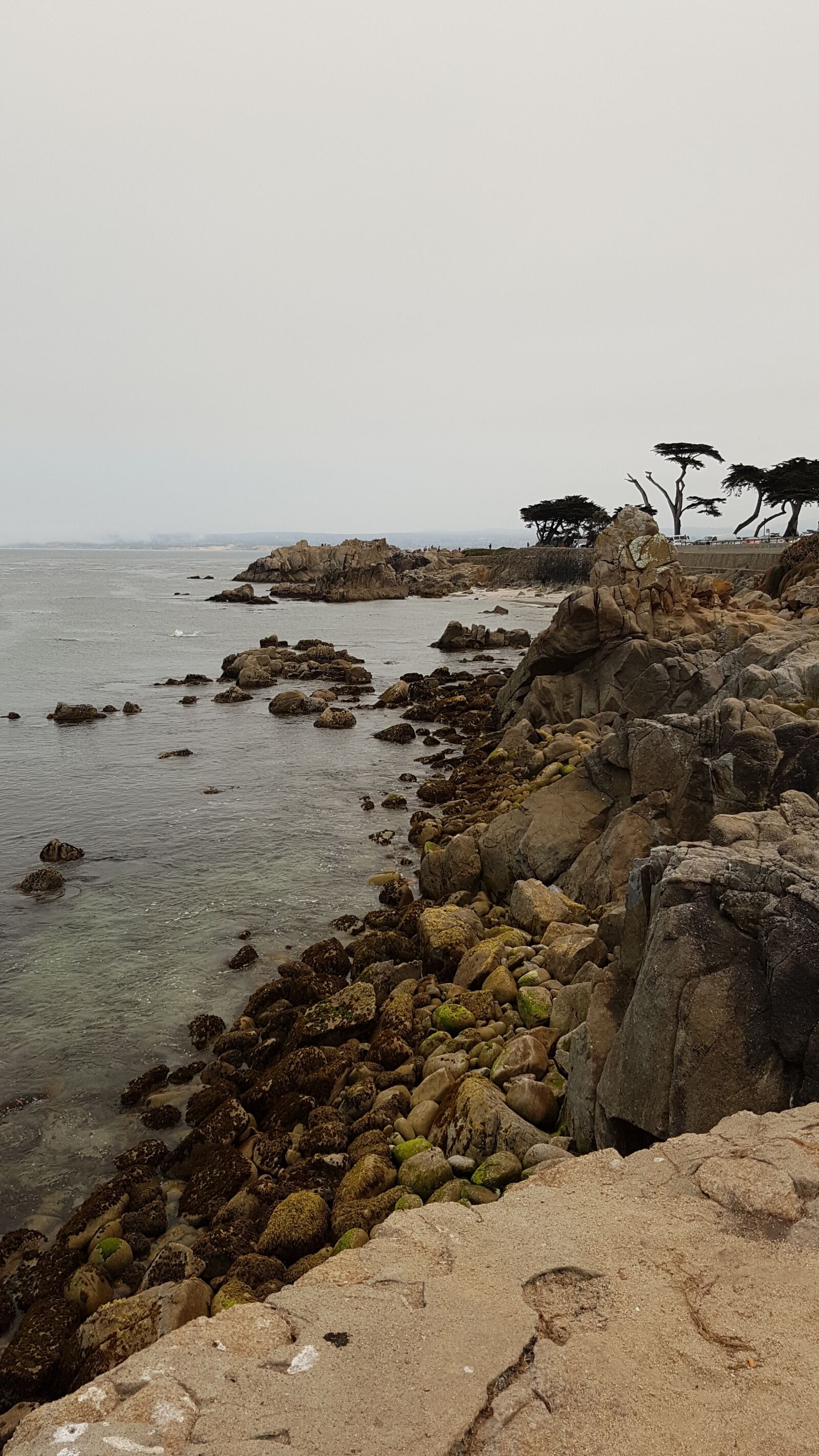 Samsung Galaxy S7 Edge sample photo. Sea, coast, california photography