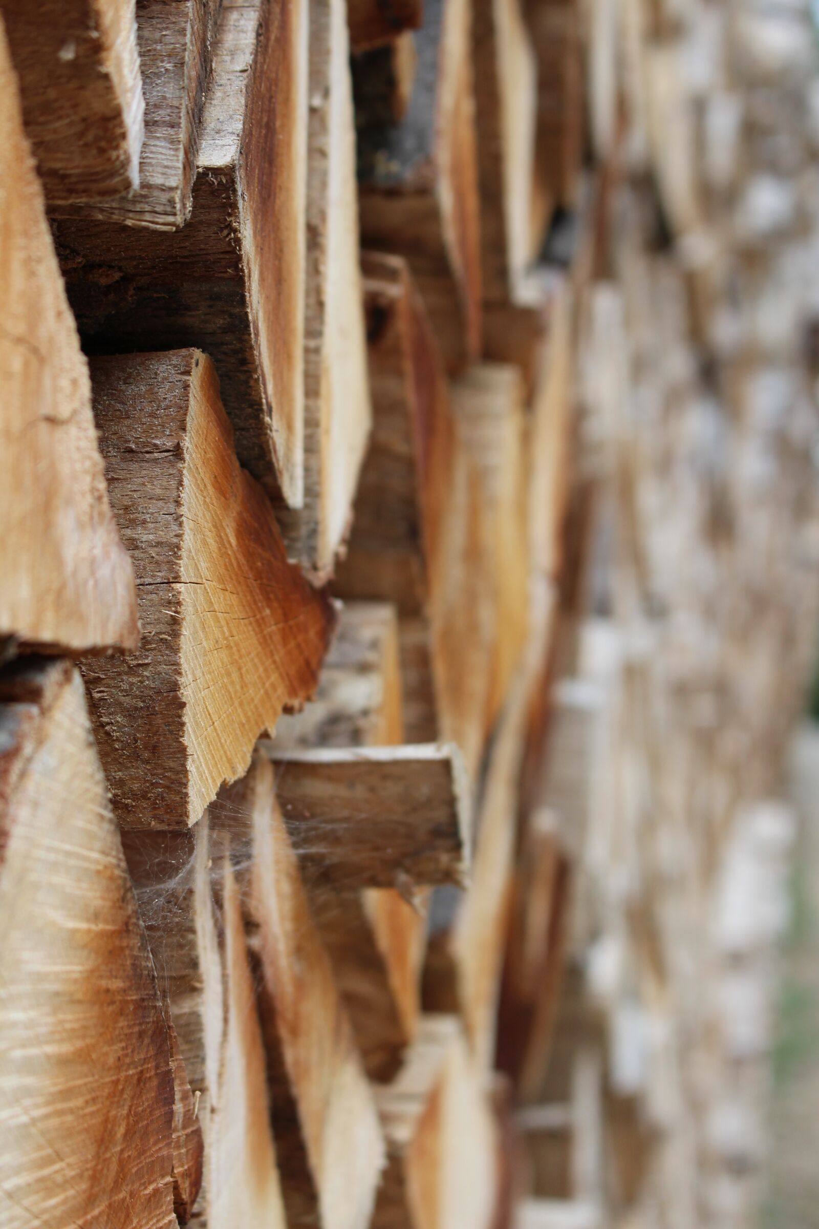 Canon EOS 700D (EOS Rebel T5i / EOS Kiss X7i) sample photo. Wood, timber, lumber photography