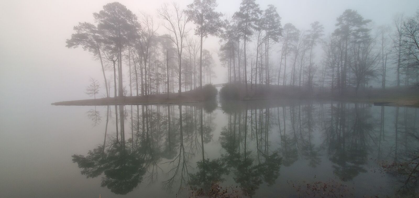 Samsung Galaxy S10e sample photo. Lake, reflection, fog photography