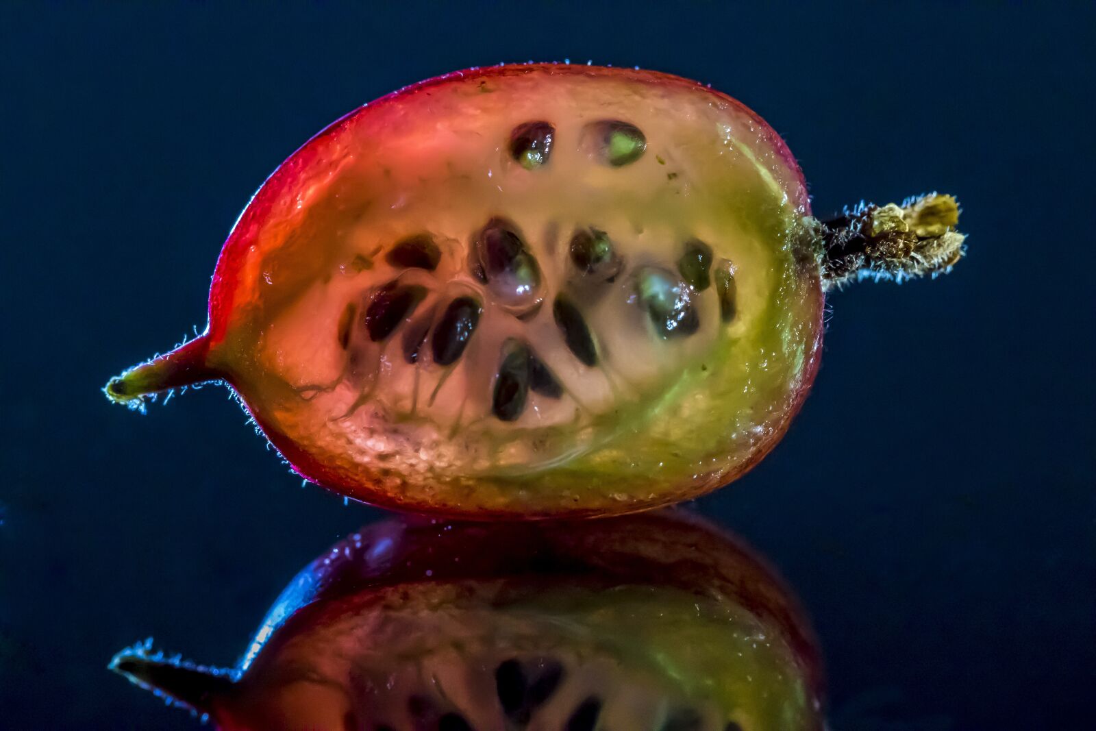 Canon EOS 7D Mark II sample photo. Gooseberry, groseillier, berry photography