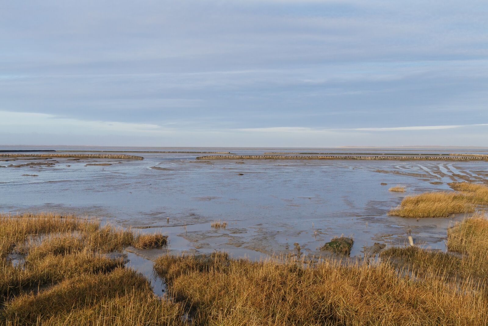 Canon EOS 70D sample photo. North sea, coast, sea photography