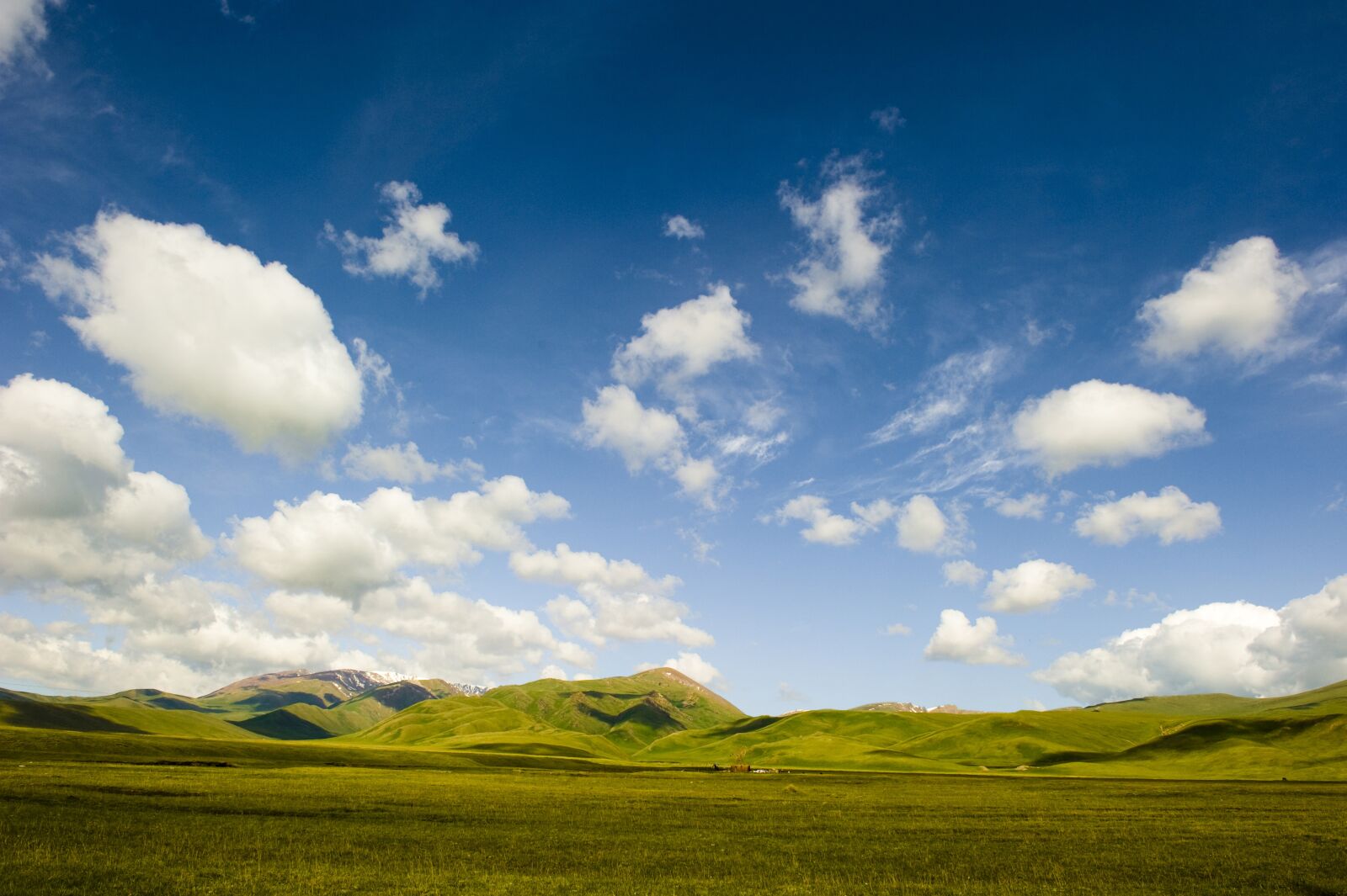 Nikon D700 sample photo. Sky, prairie, cloud photography