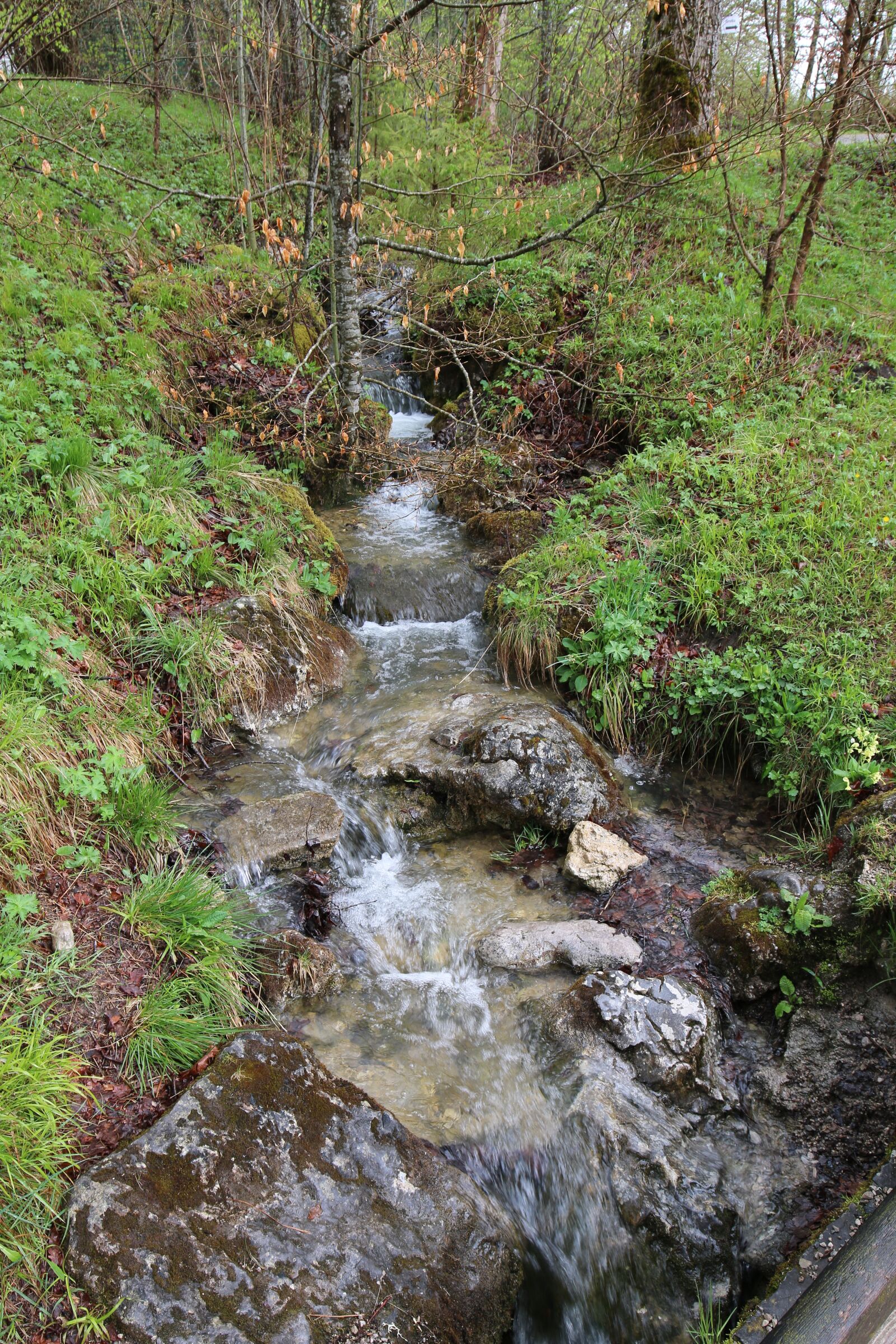 Canon EOS 70D + Canon EF 16-35mm F4L IS USM sample photo. Nature, creek, bach photography