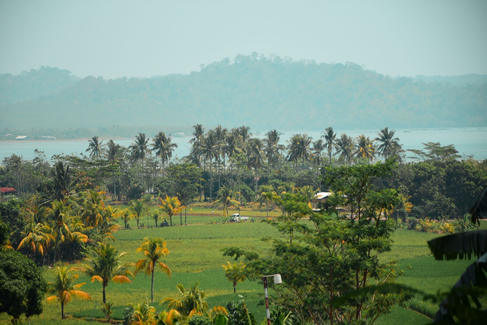 Nikon D7200 sample photo. Green, landscape, nature photography