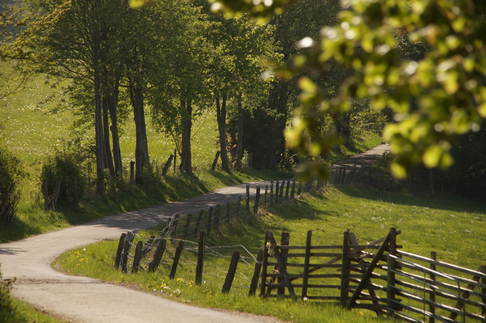 Sony SLT-A57 sample photo. Trail, coupling, fence photography