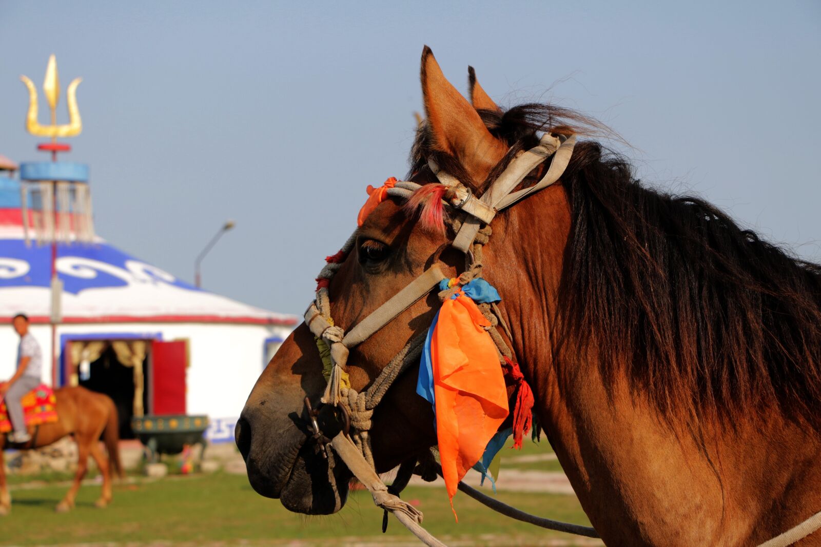 Canon EOS 700D (EOS Rebel T5i / EOS Kiss X7i) sample photo. Prairie, horse, yurts photography
