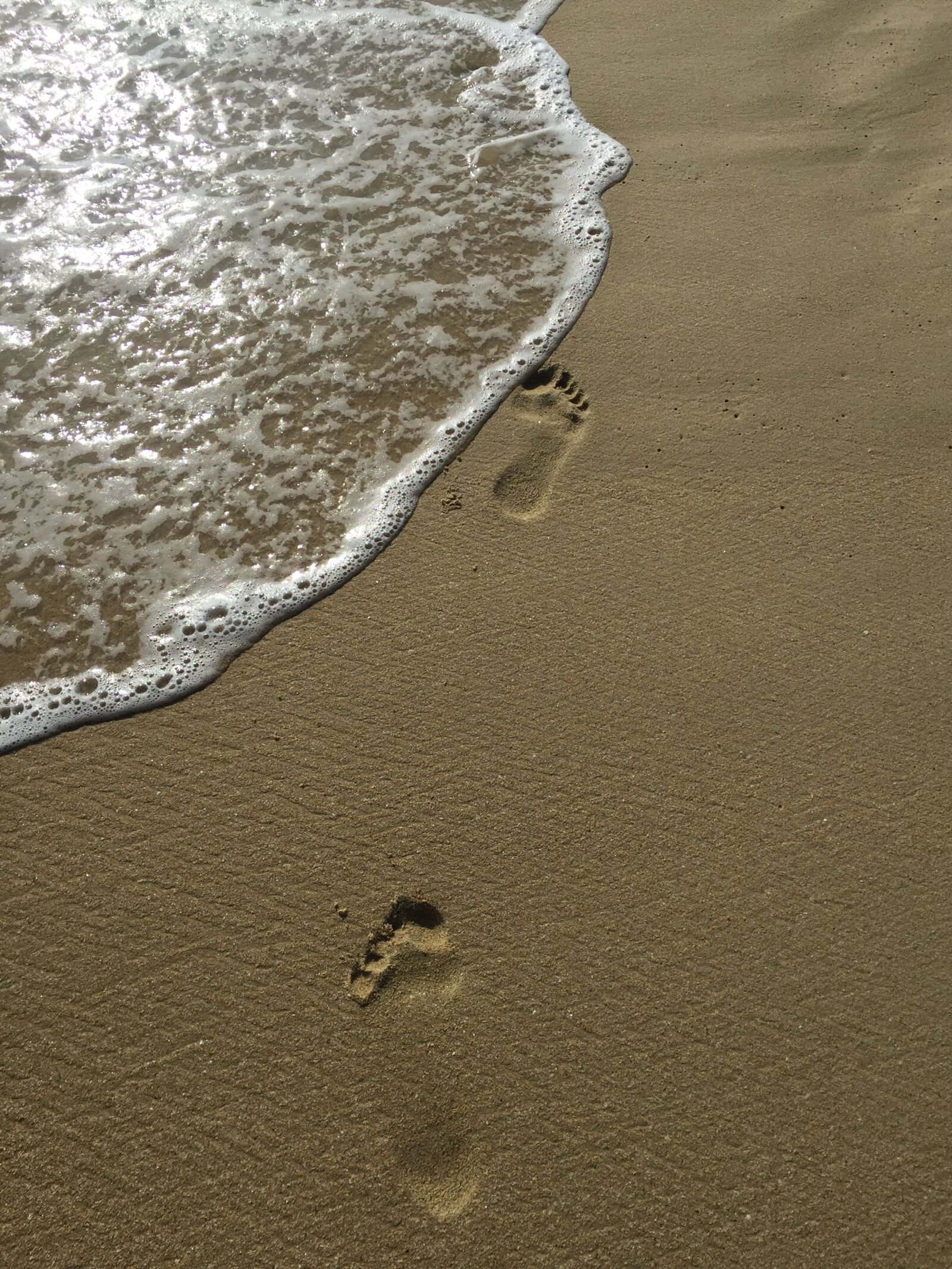 iPhone 6 back camera 4.15mm f/2.2 sample photo. Natural, the beach, the photography