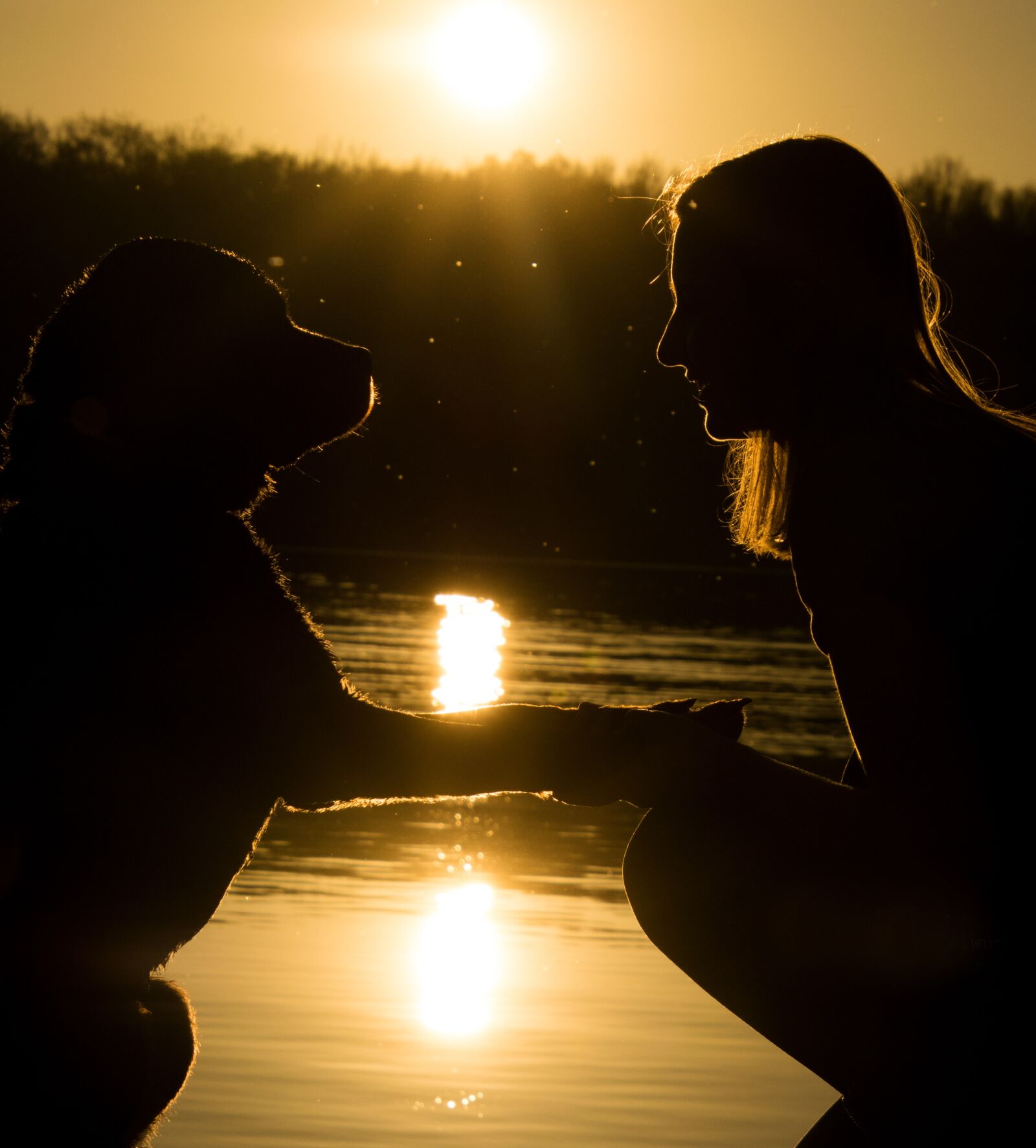 Nikon D3300 sample photo. Sunset, silhouette, background lighting photography