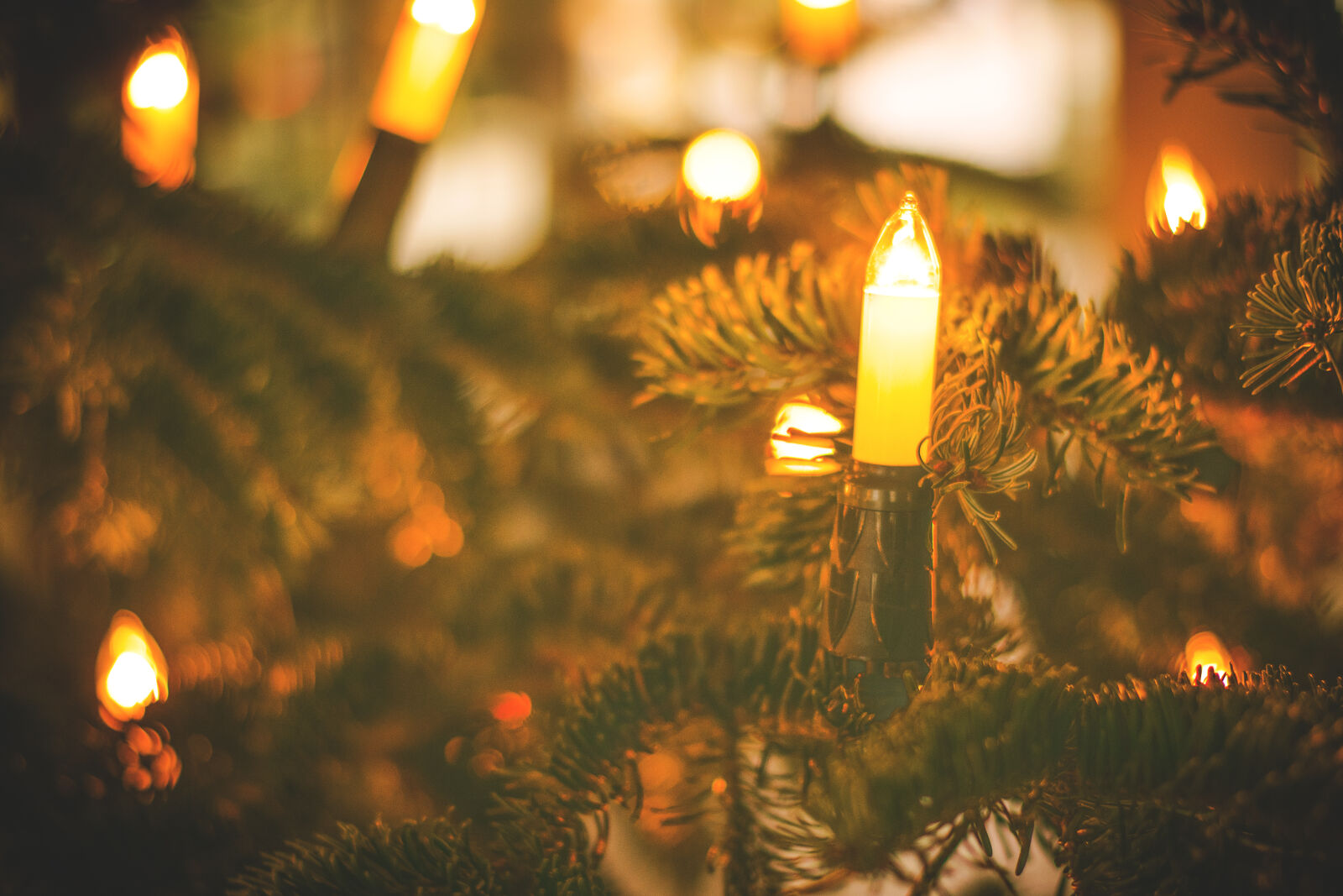 Nikon D5300 sample photo. Celebration, christmas, christmas, decoration photography