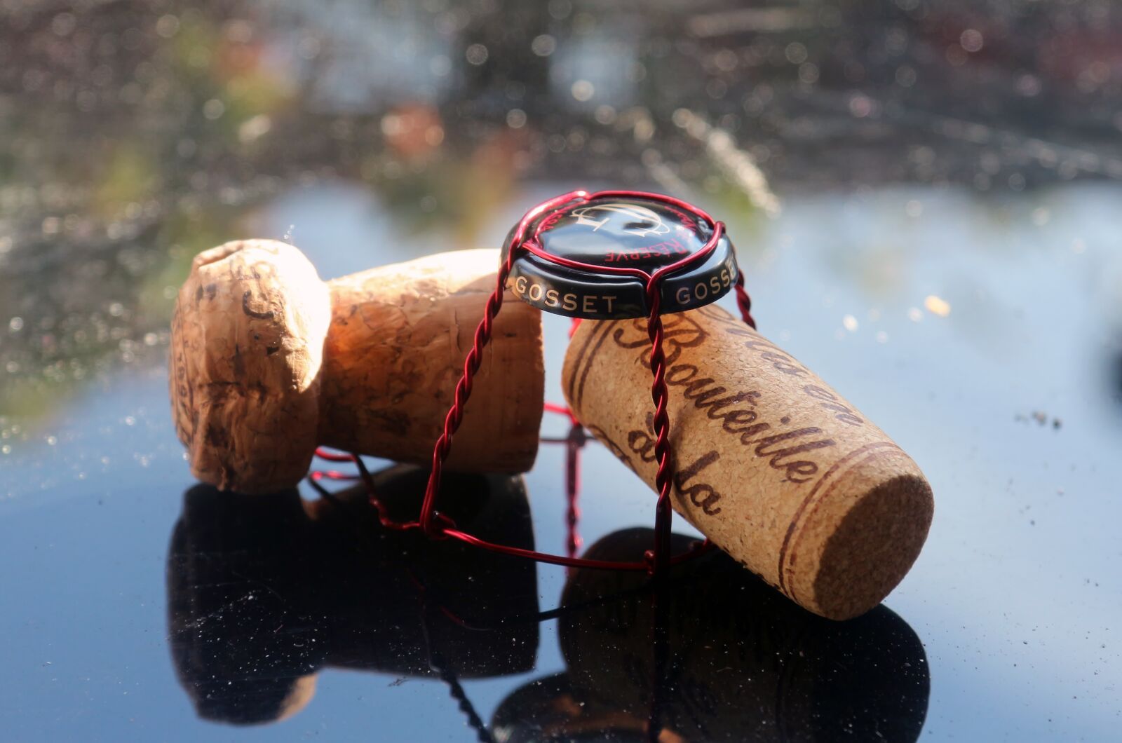 Canon EF-S 17-85mm F4-5.6 IS USM sample photo. Cap, champagne, wine photography