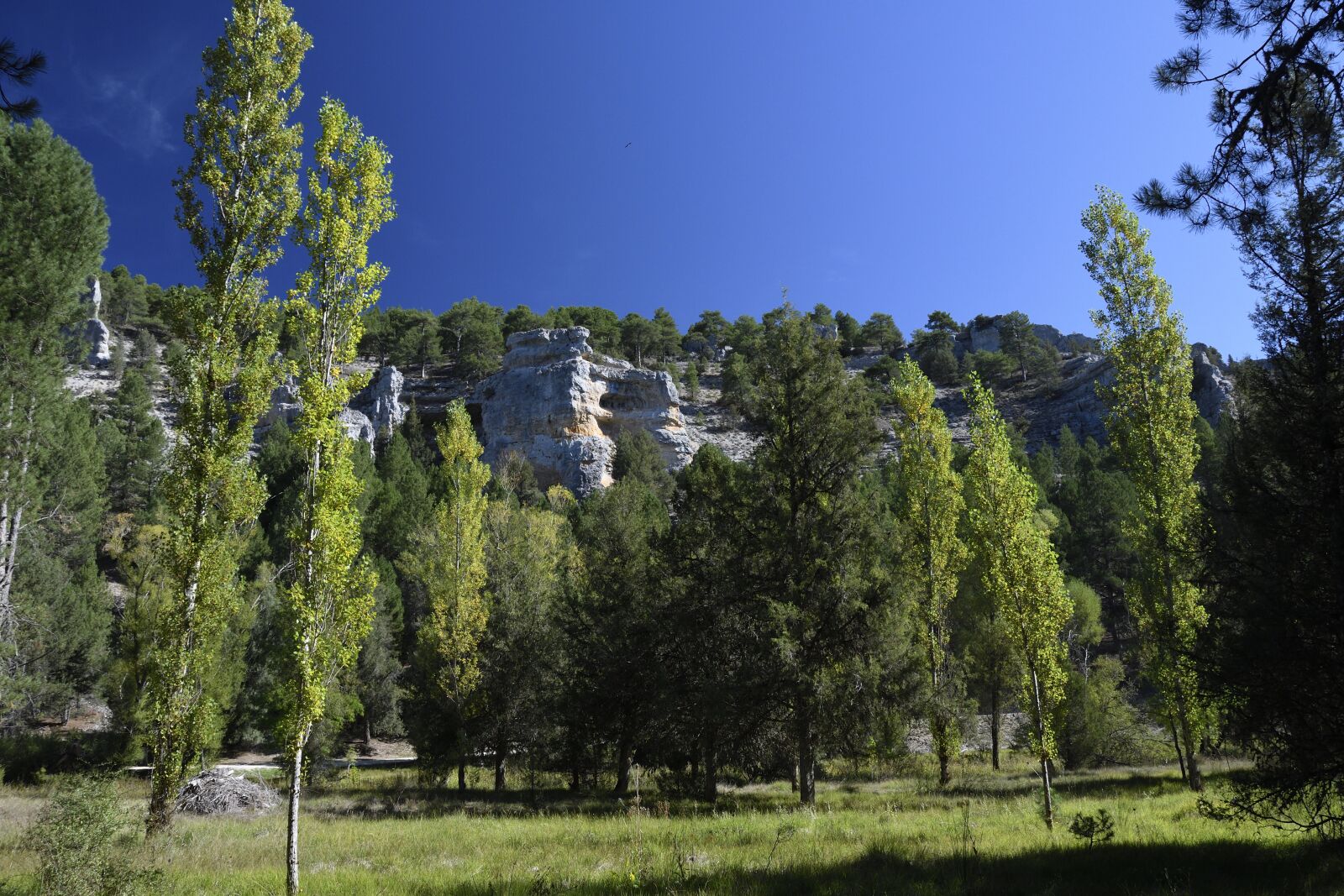 Nikon D500 sample photo. Canon, rocks, nature photography