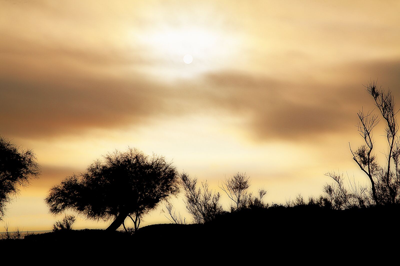 Canon EOS 5D Mark III sample photo. Sky, sun, sunrise photography