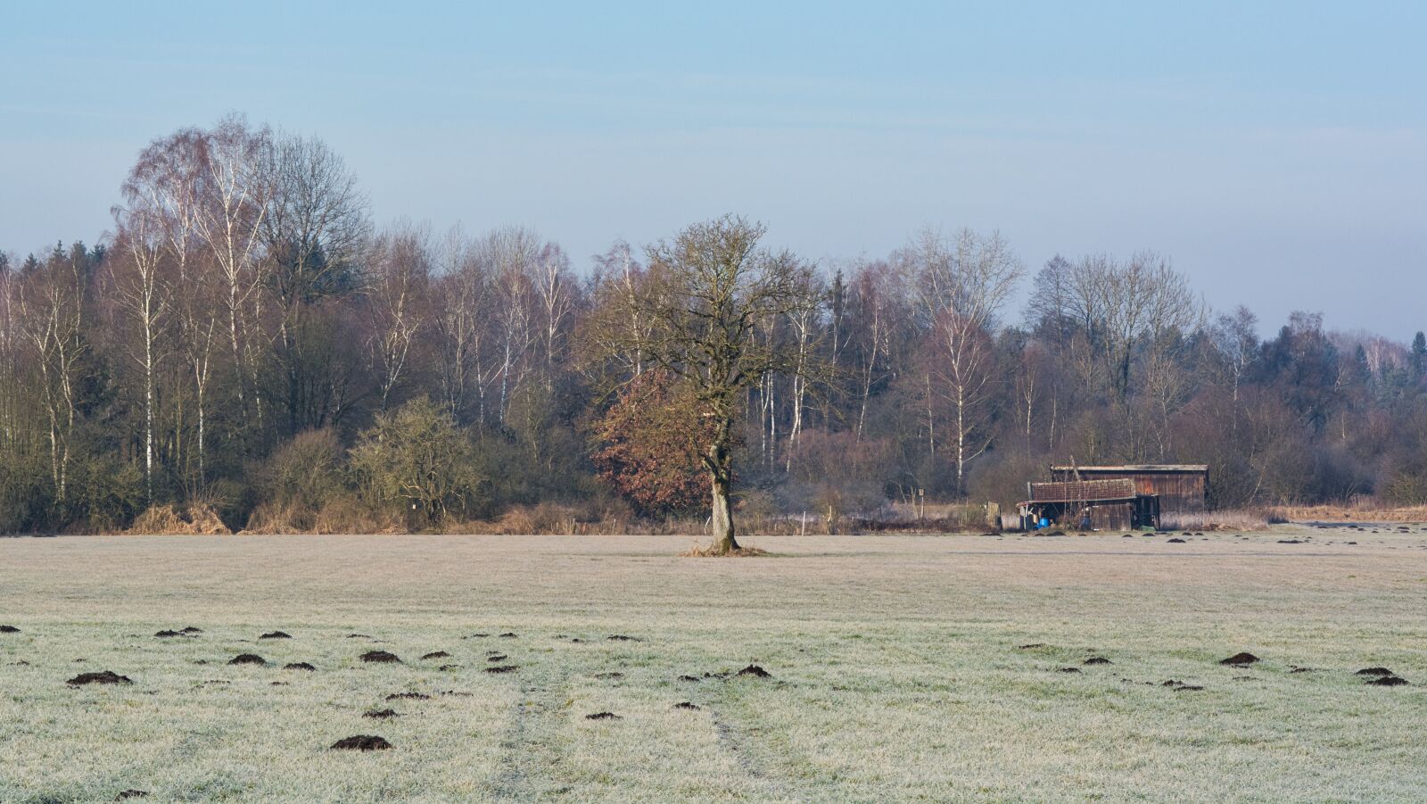 Nikon D7100 sample photo. Autumn, landscape, trees photography
