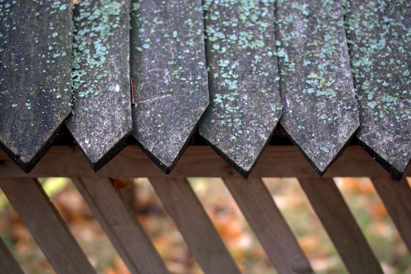 Canon EF-S 60mm F2.8 Macro USM sample photo. Roof, edge, wood photography