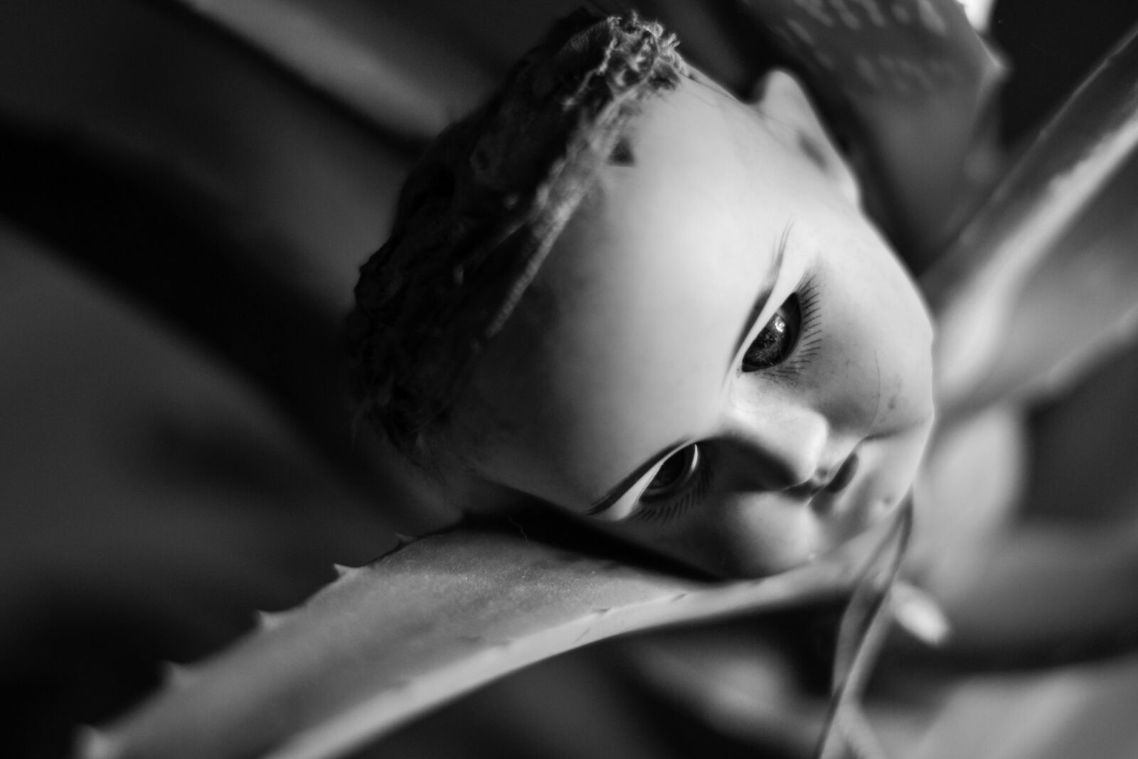 Nikon D3100 sample photo. Doll, doll head, halloween photography