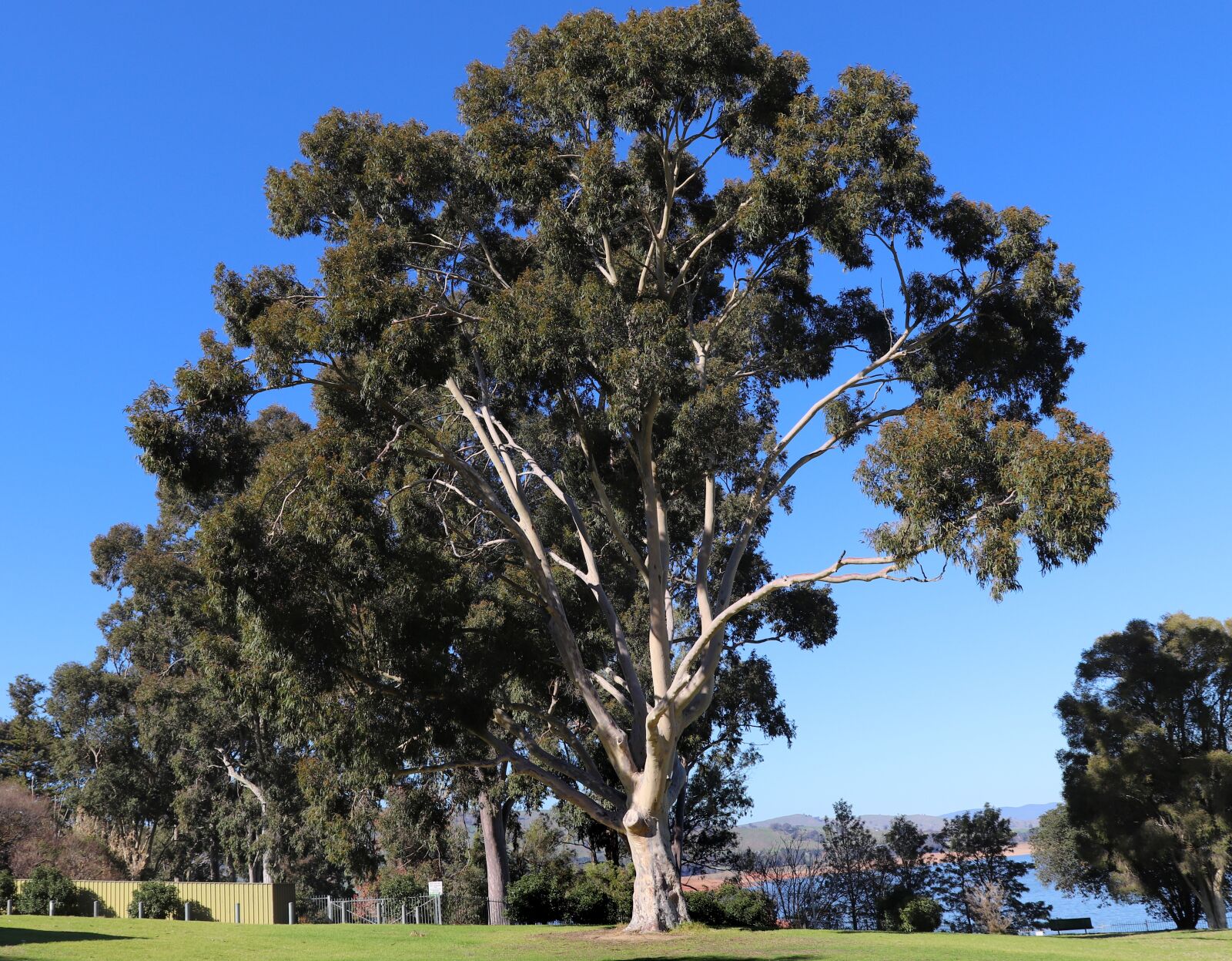 Canon EOS 800D (EOS Rebel T7i / EOS Kiss X9i) sample photo. Landscape, australian, scenery photography