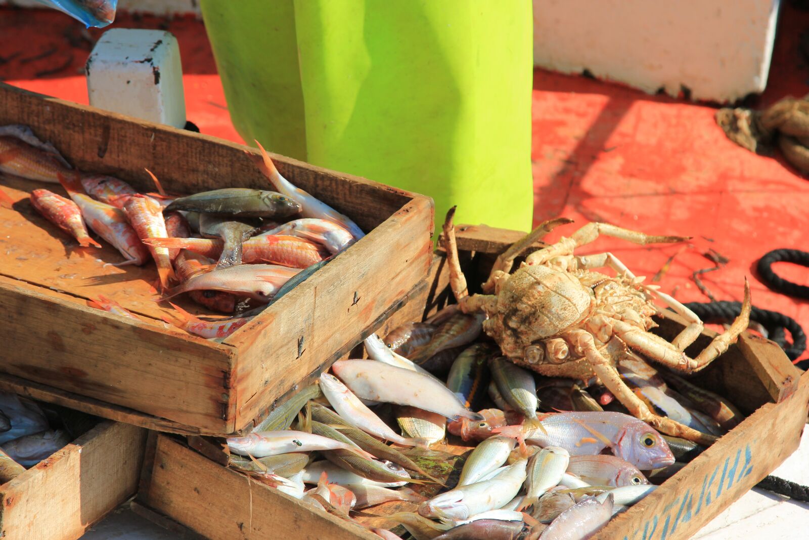 Canon EOS 550D (EOS Rebel T2i / EOS Kiss X4) sample photo. Greece, crab, seafood photography