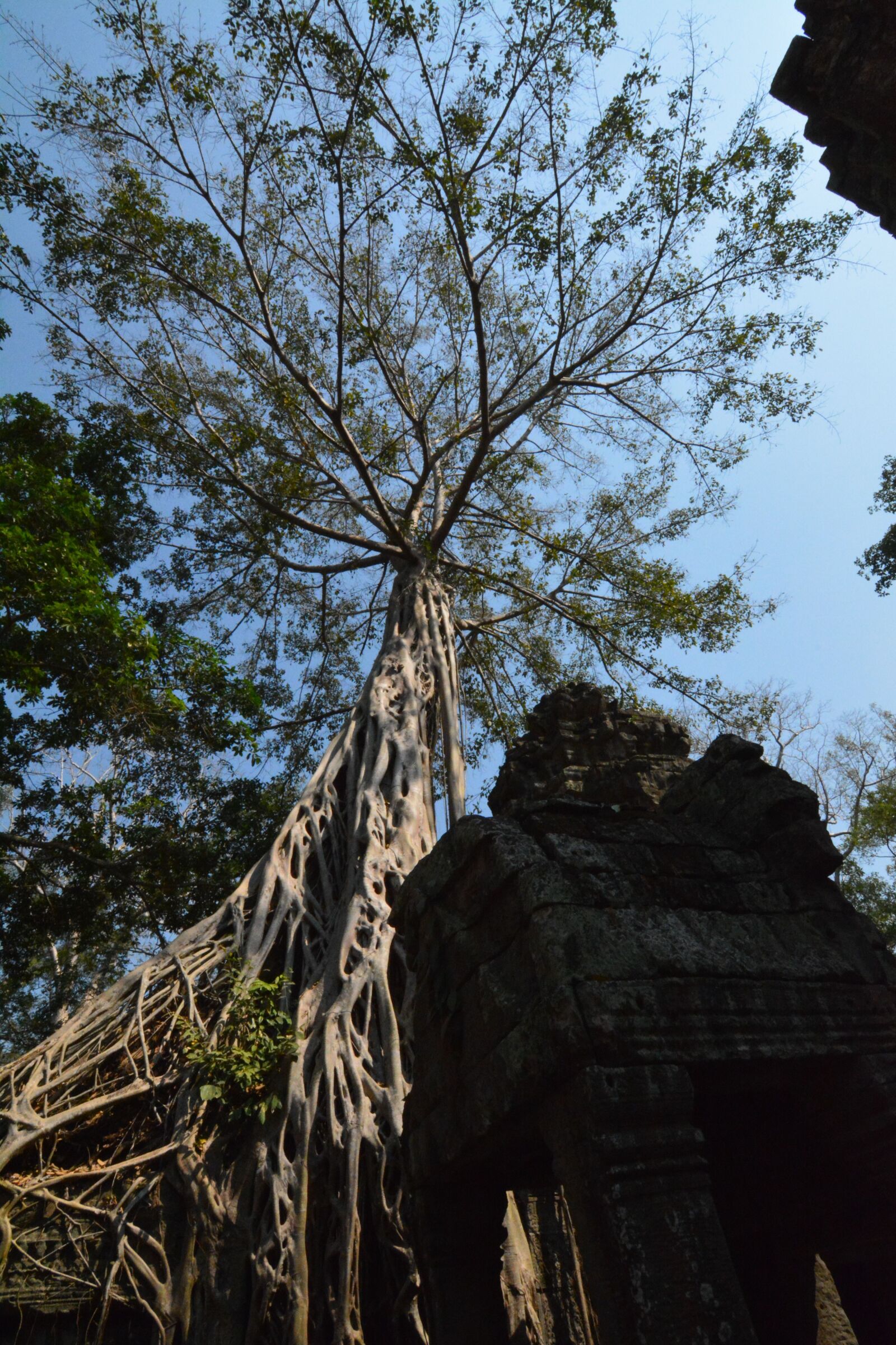 Nikon D7100 sample photo