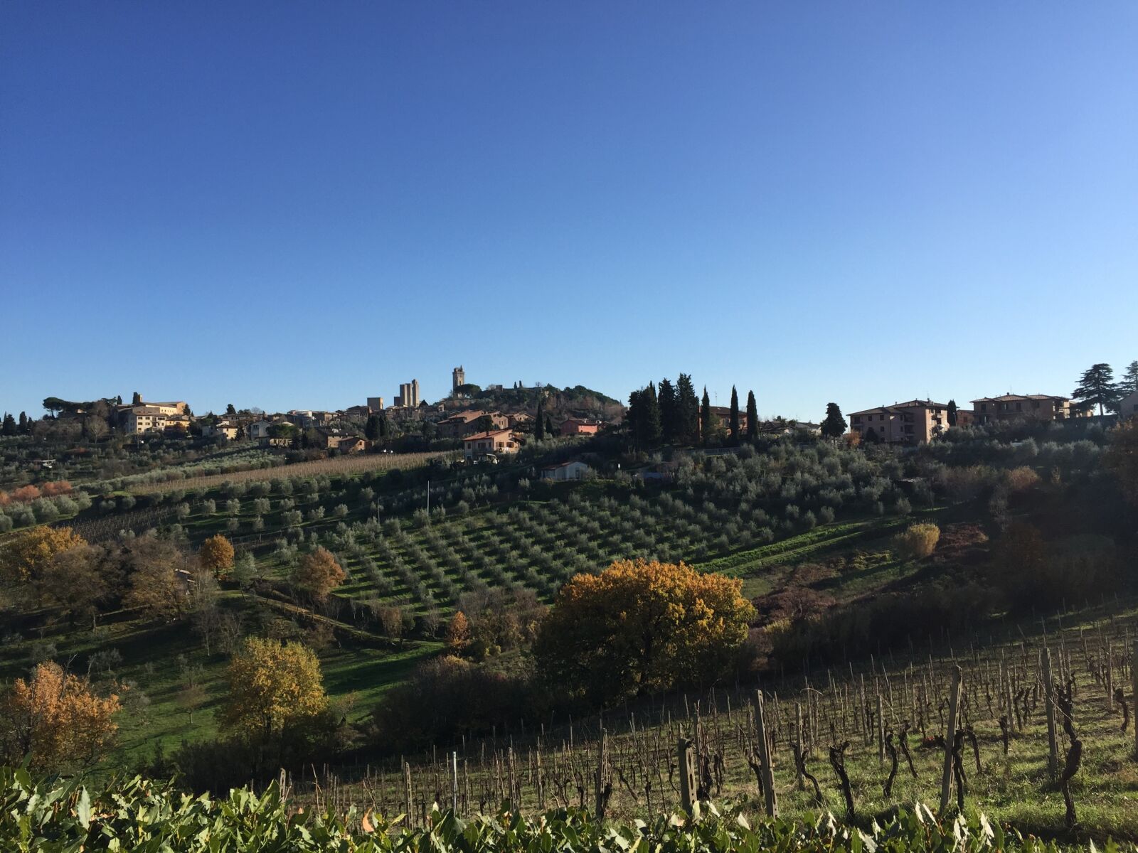 Apple iPhone 6 sample photo. Tuscany, italy, vineyard photography