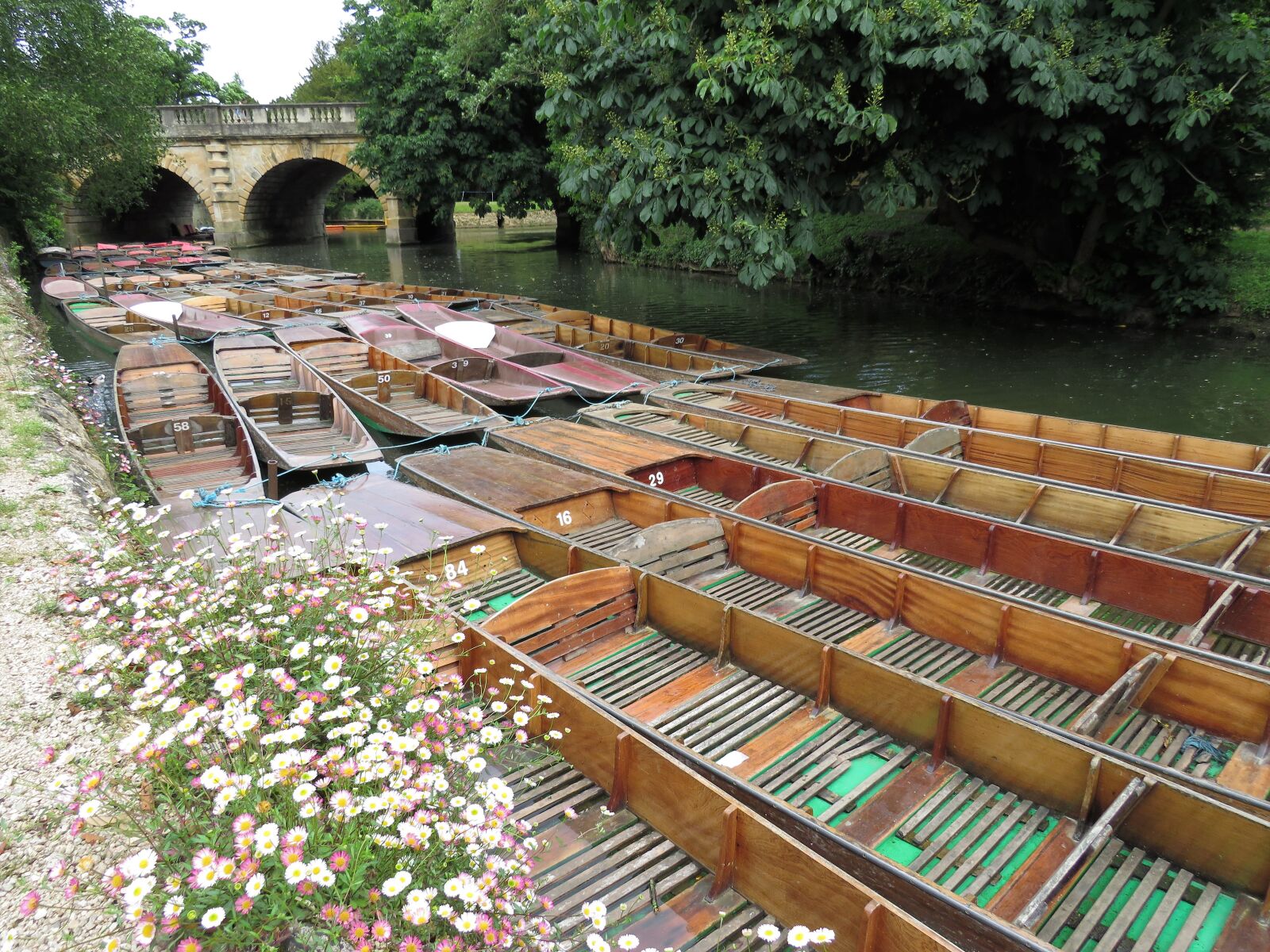 Canon PowerShot SX540 HS sample photo. Punting, punt, oxford photography