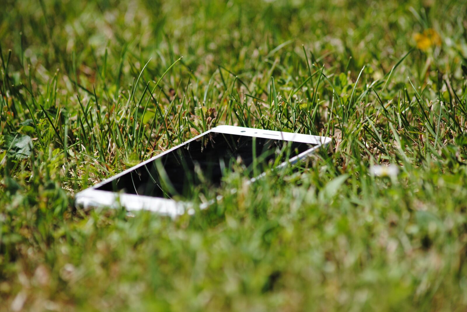 Nikon D3000 sample photo. Smartphone, phone, meadow photography