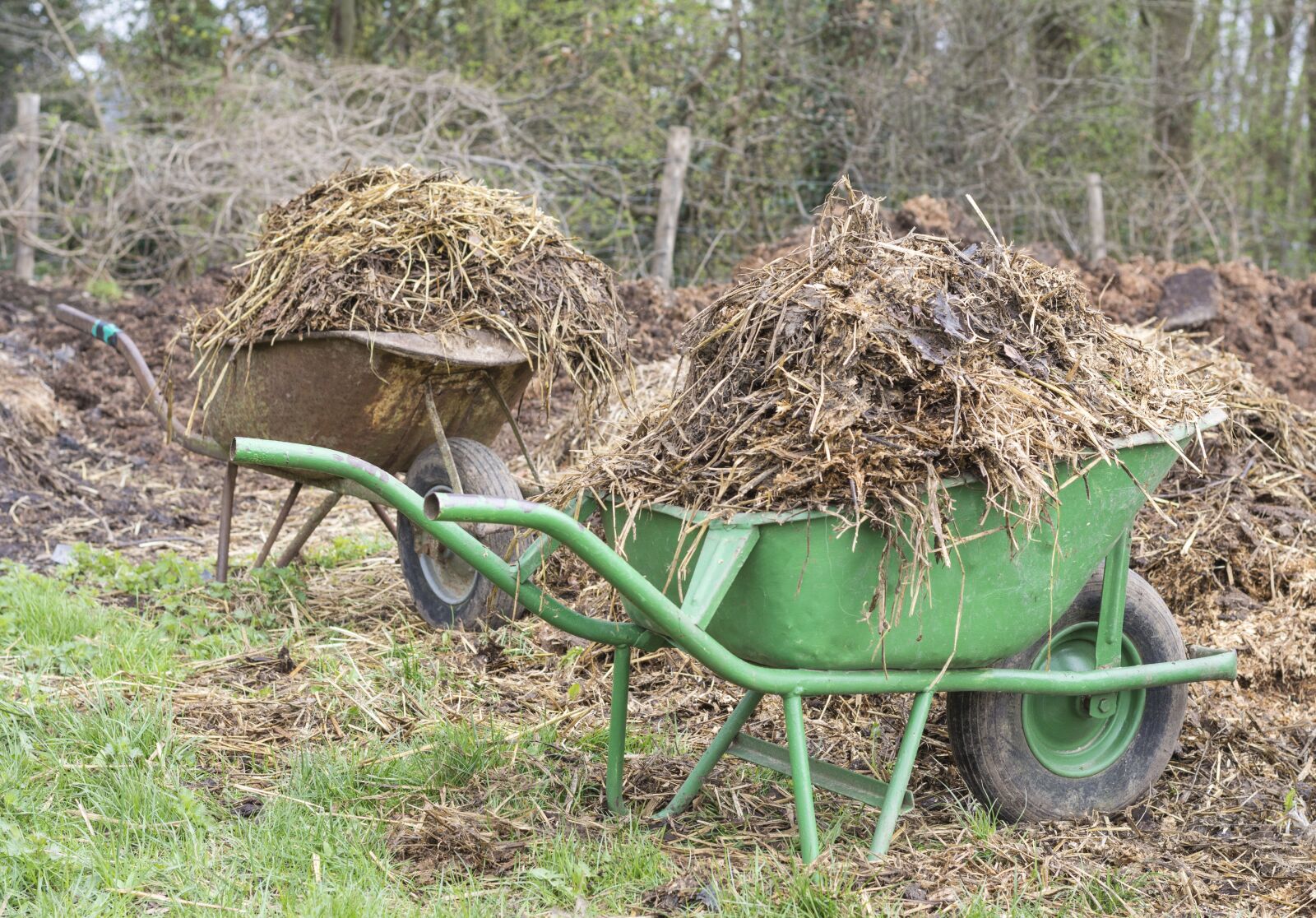 Nikon D5200 sample photo. Manure, wheelbarrow, wheelbarrows photography