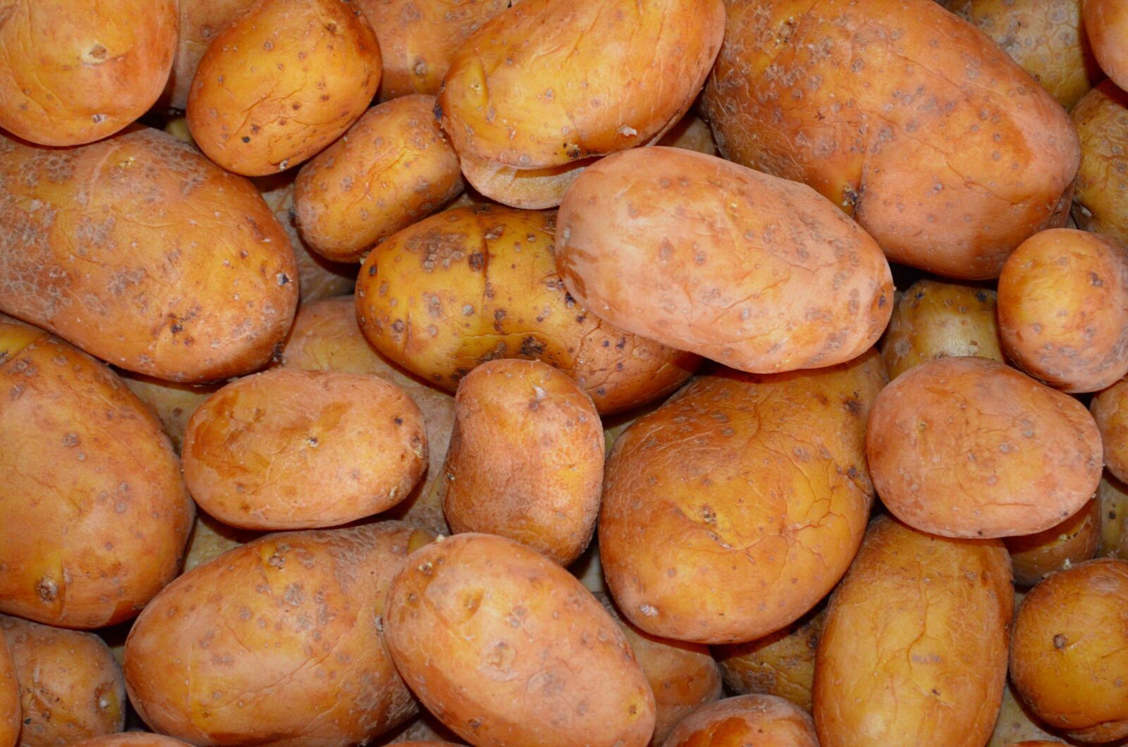 Nikon D5100 sample photo. Potatoes, vegetables, background photography