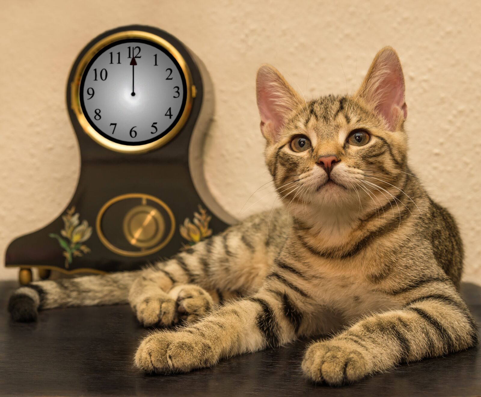 30mm F1.4 DC DN | Contemporary 016 sample photo. Cat, clock, new year's photography