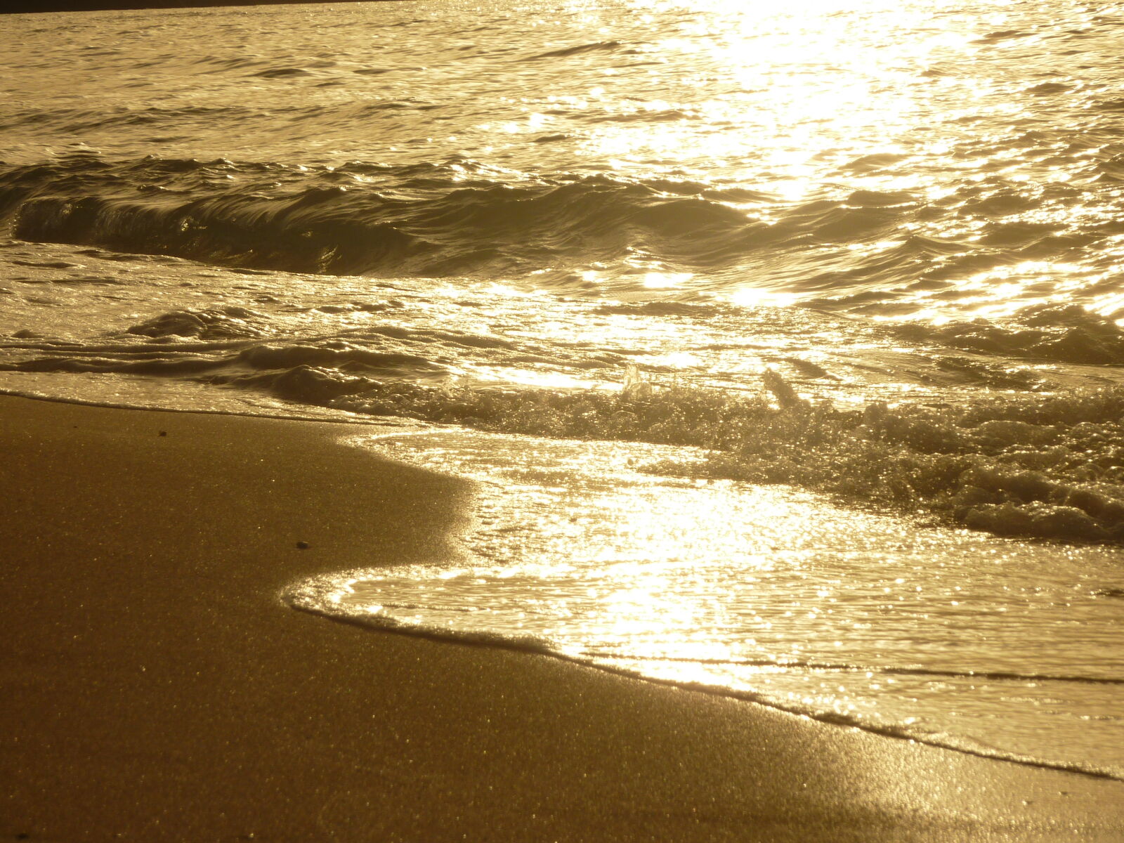 Panasonic DMC-TZ7 sample photo
