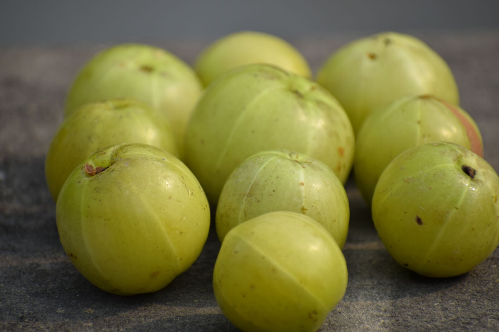 Nikon D3300 sample photo. Emblic, amla, fruit photography