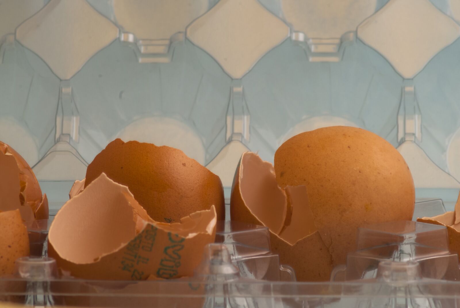 Nikon D80 sample photo. Egg, broken, kitchen photography