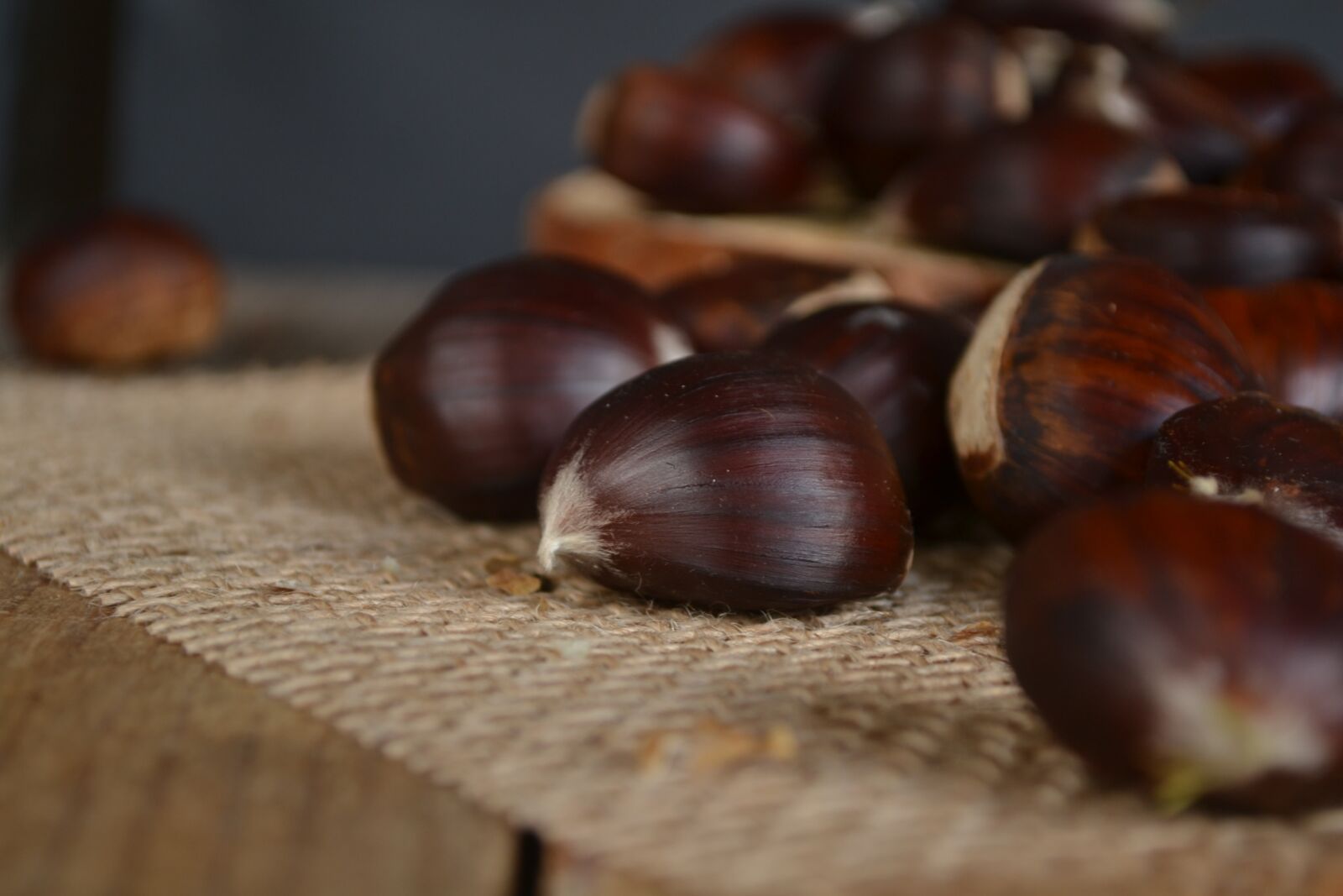 Nikon D3100 sample photo. Chestnuts, autumn, brown photography