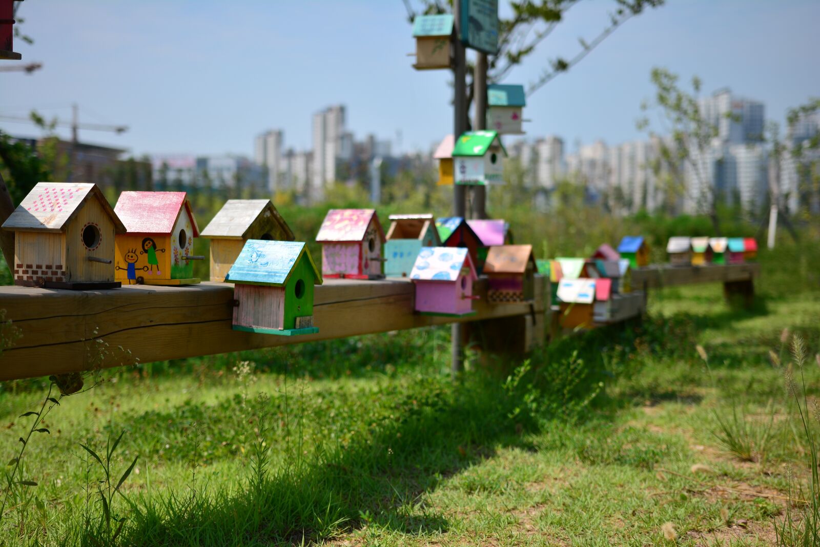 Nikon D7100 sample photo. Bird cage, new foster photography