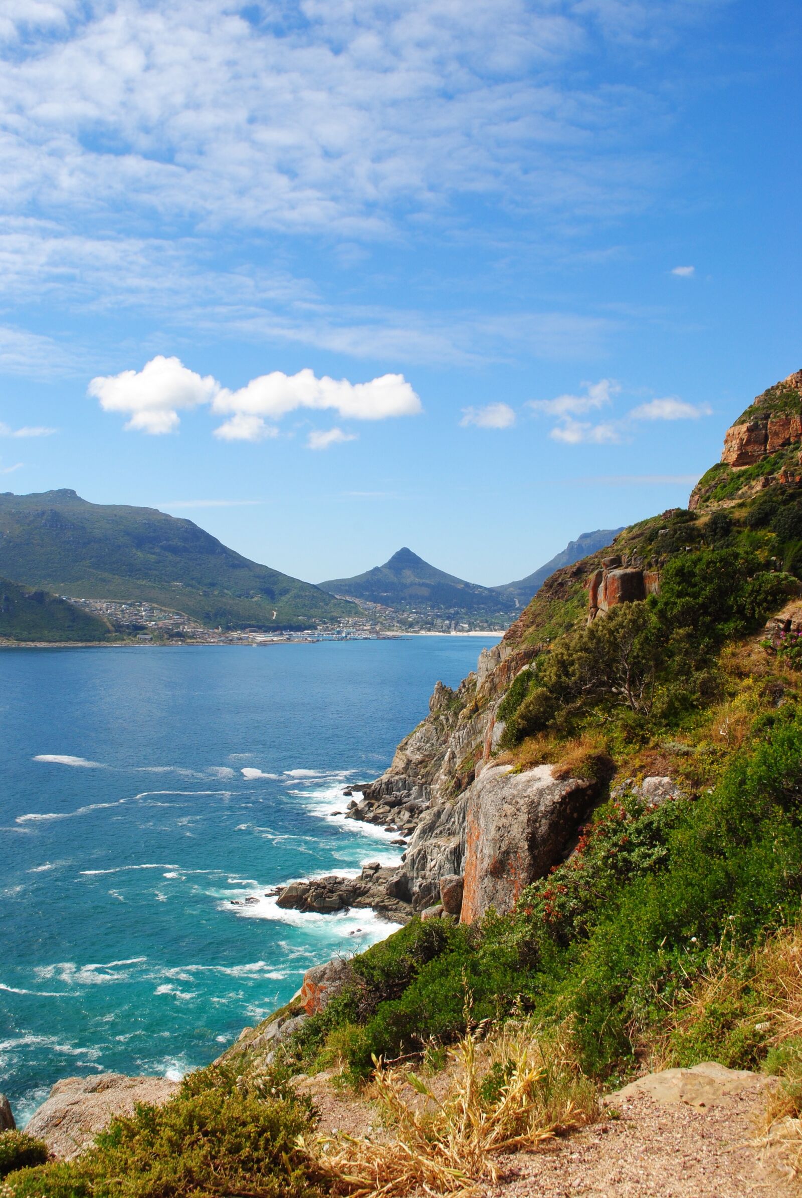Nikon D3000 sample photo. South africa, cape, peninsula photography