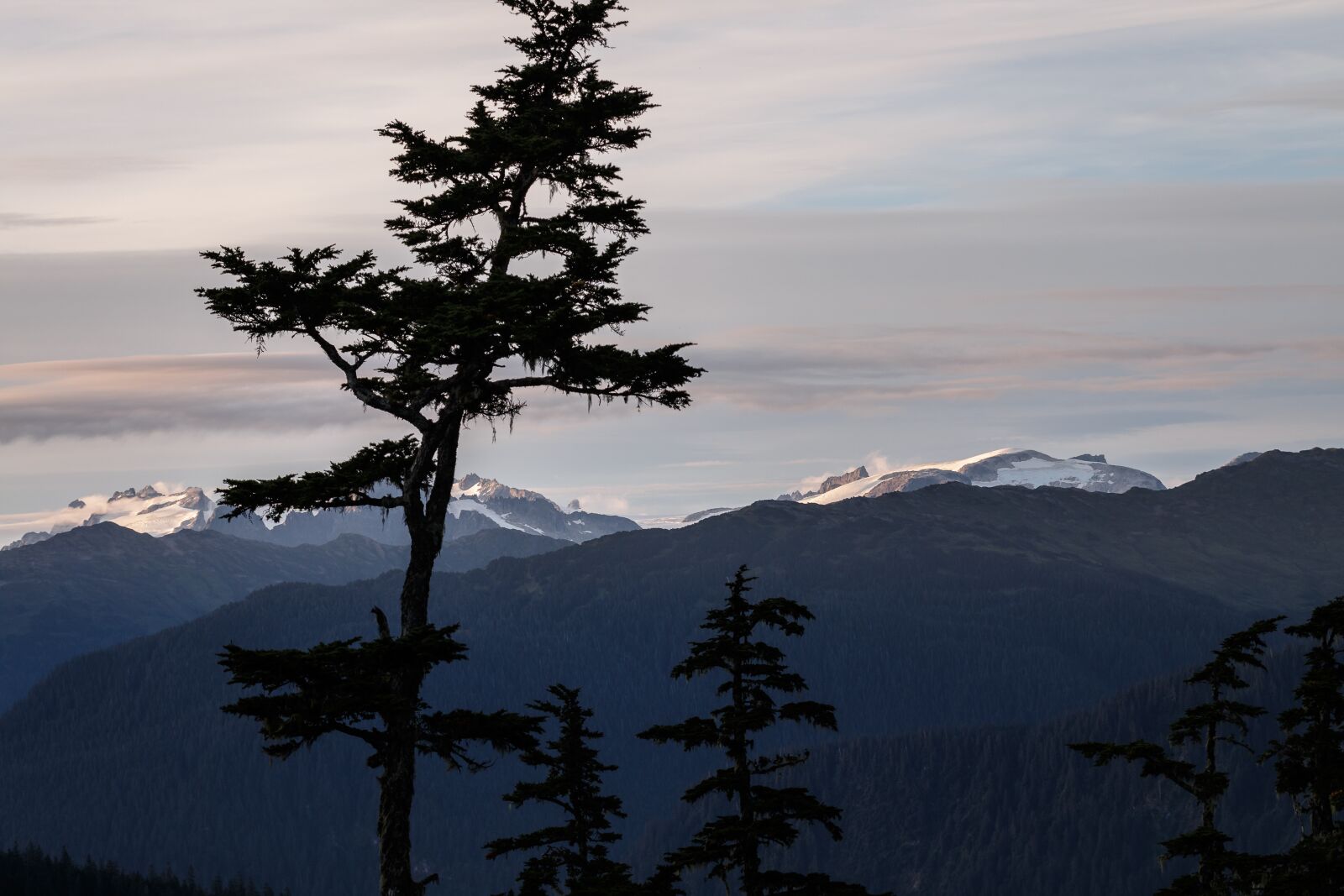 Canon EOS 70D sample photo. Alaska, fir tree, mountains photography