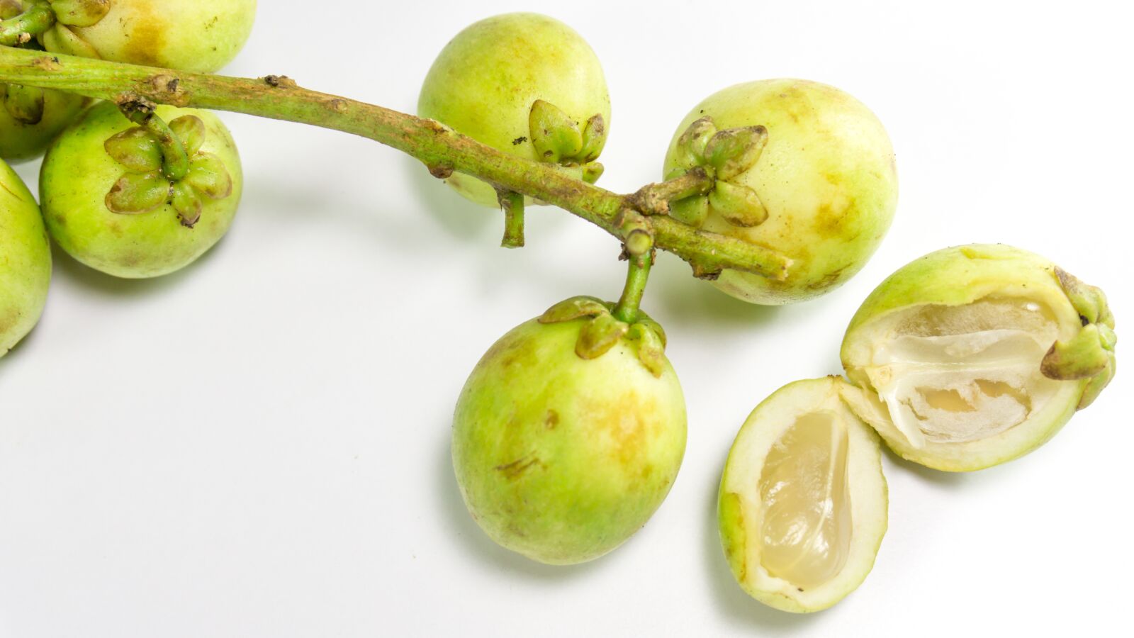 Sony a5100 sample photo. Asian fruit, langsat, longkong photography